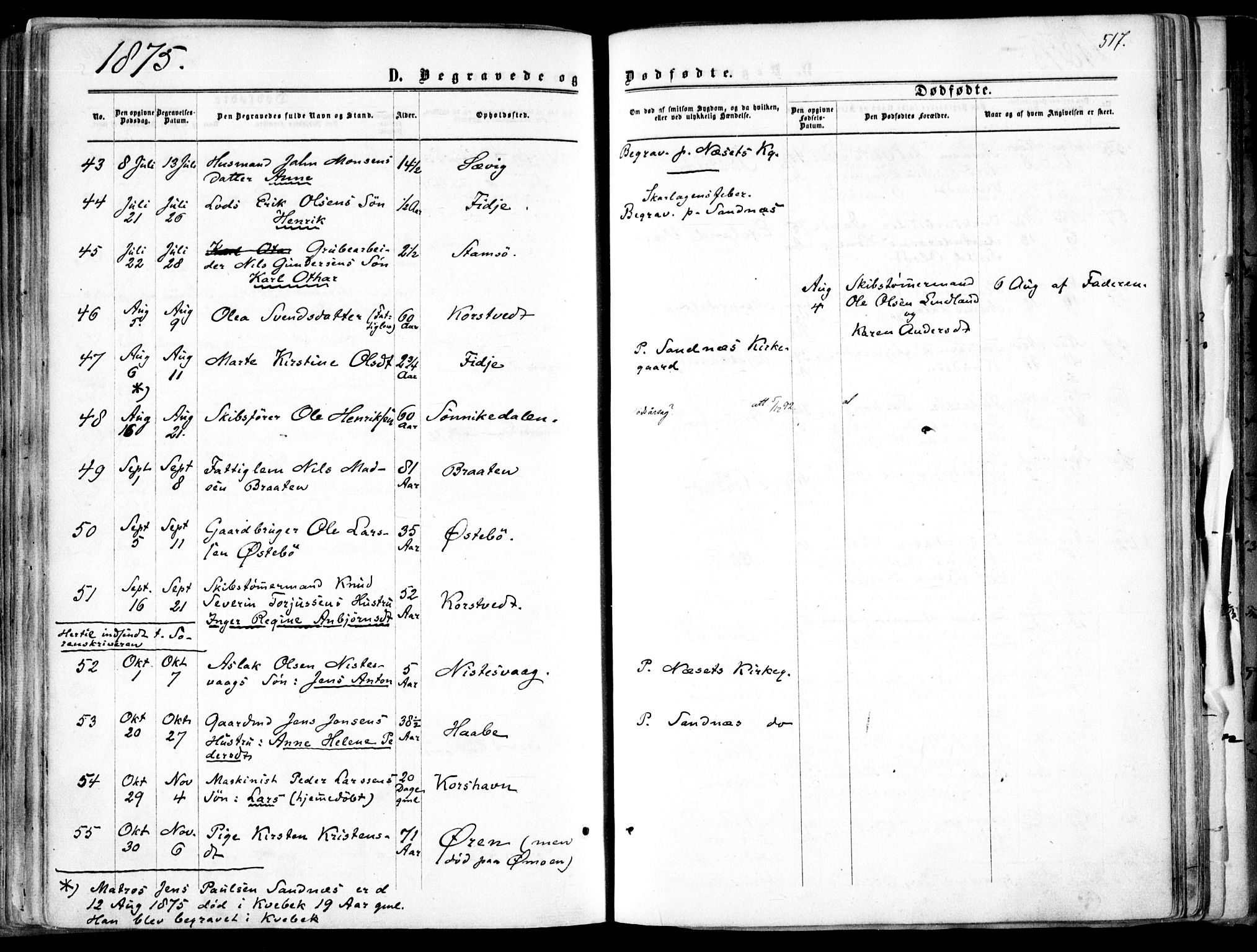 Søndeled sokneprestkontor, AV/SAK-1111-0038/F/Fa/L0003: Parish register (official) no. A 3, 1861-1879, p. 517