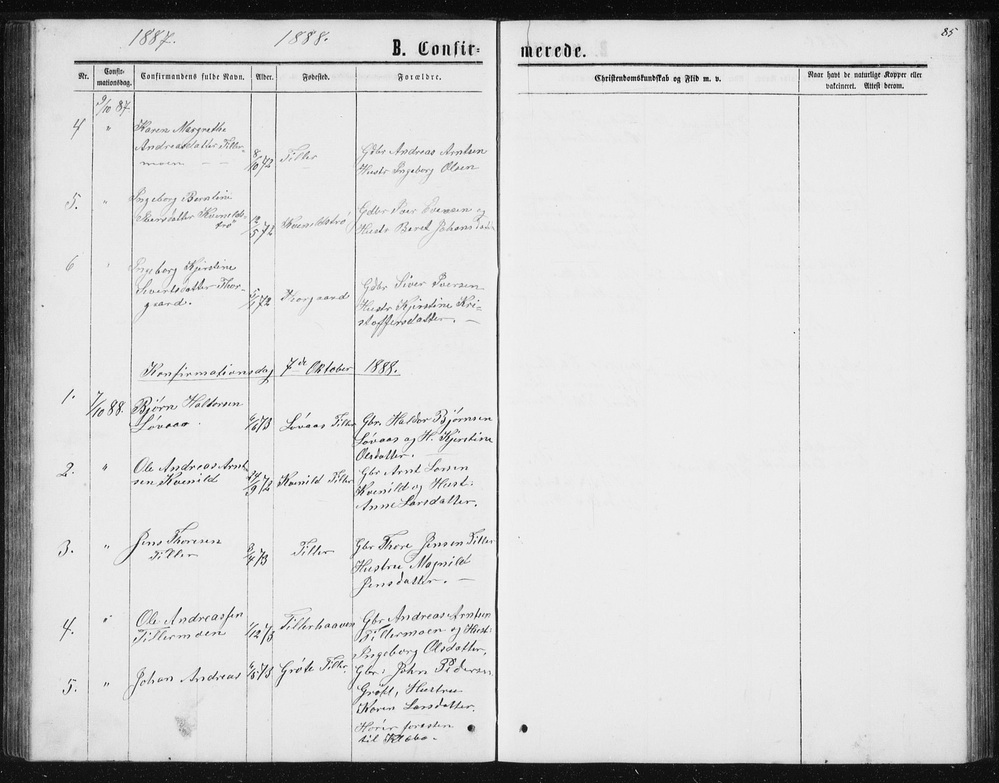 Ministerialprotokoller, klokkerbøker og fødselsregistre - Sør-Trøndelag, AV/SAT-A-1456/621/L0459: Parish register (copy) no. 621C02, 1866-1895, p. 85