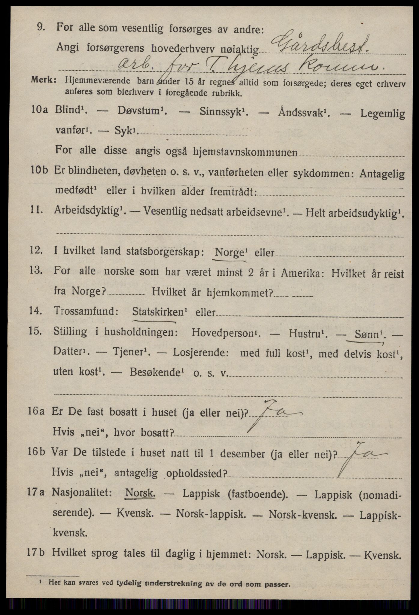 SAT, 1920 census for Strinda, 1920, p. 2921