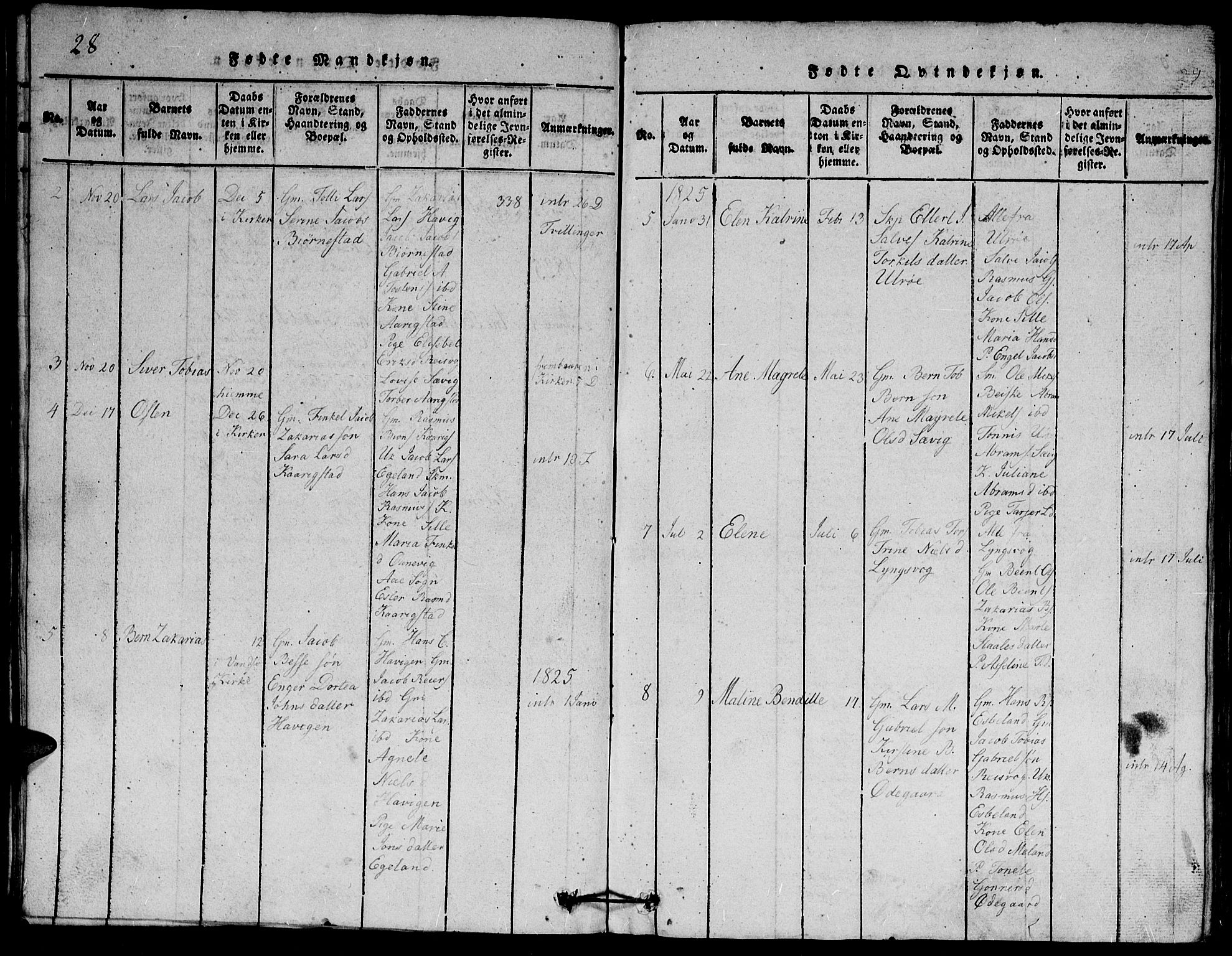 Herad sokneprestkontor, SAK/1111-0018/F/Fb/Fbb/L0001: Parish register (copy) no. B 1, 1815-1852, p. 28