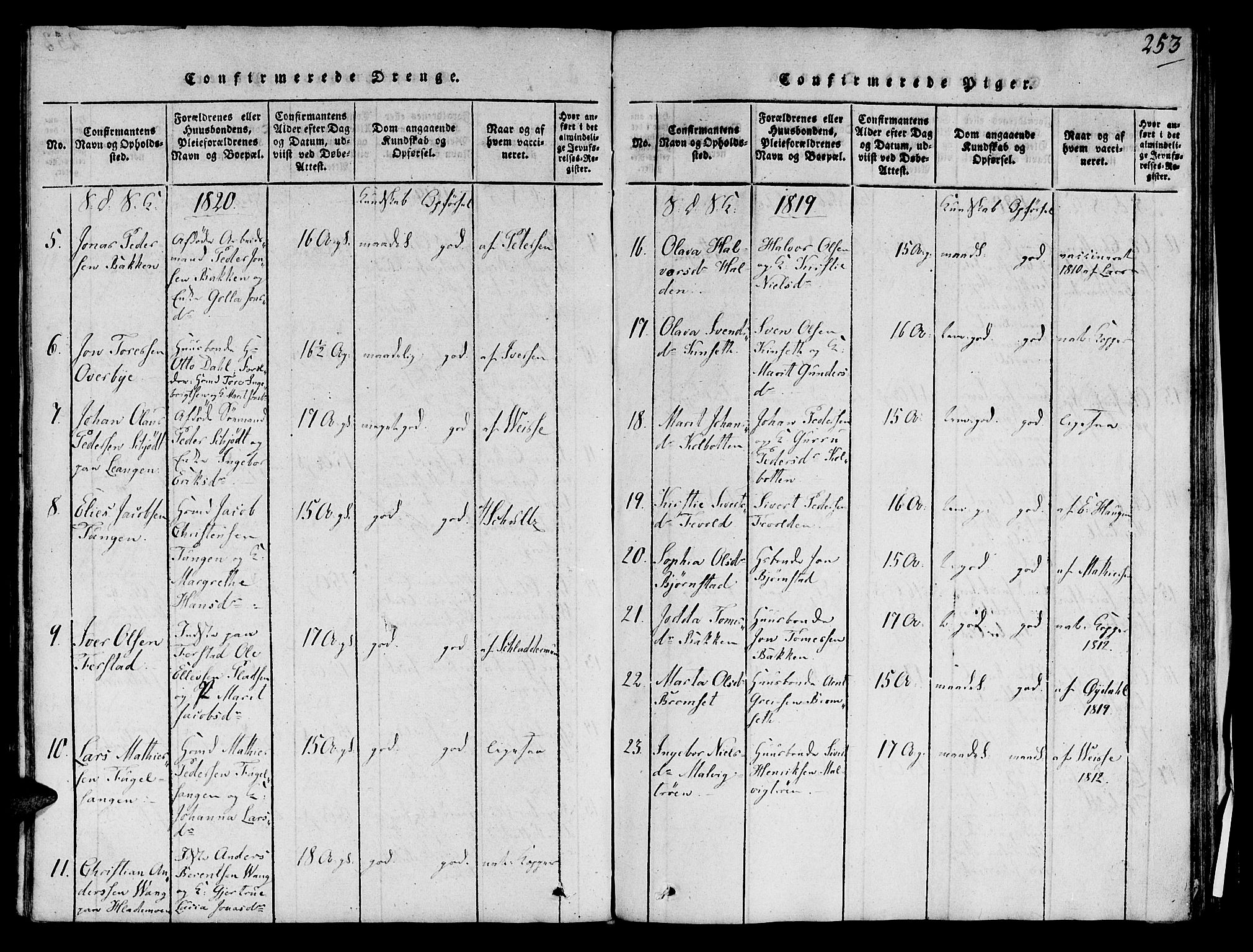 Ministerialprotokoller, klokkerbøker og fødselsregistre - Sør-Trøndelag, SAT/A-1456/606/L0283: Parish register (official) no. 606A03 /1, 1818-1823, p. 253