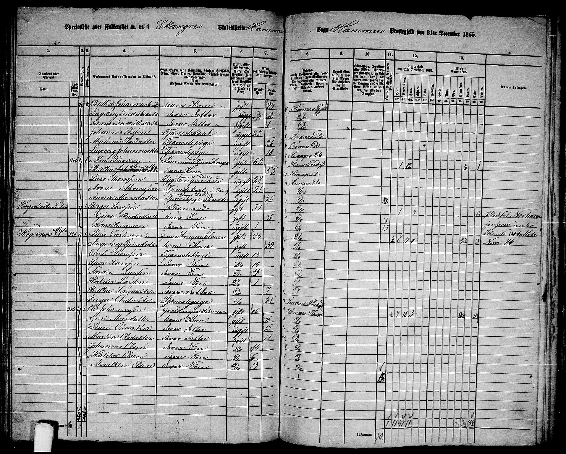 RA, 1865 census for Hamre, 1865, p. 125