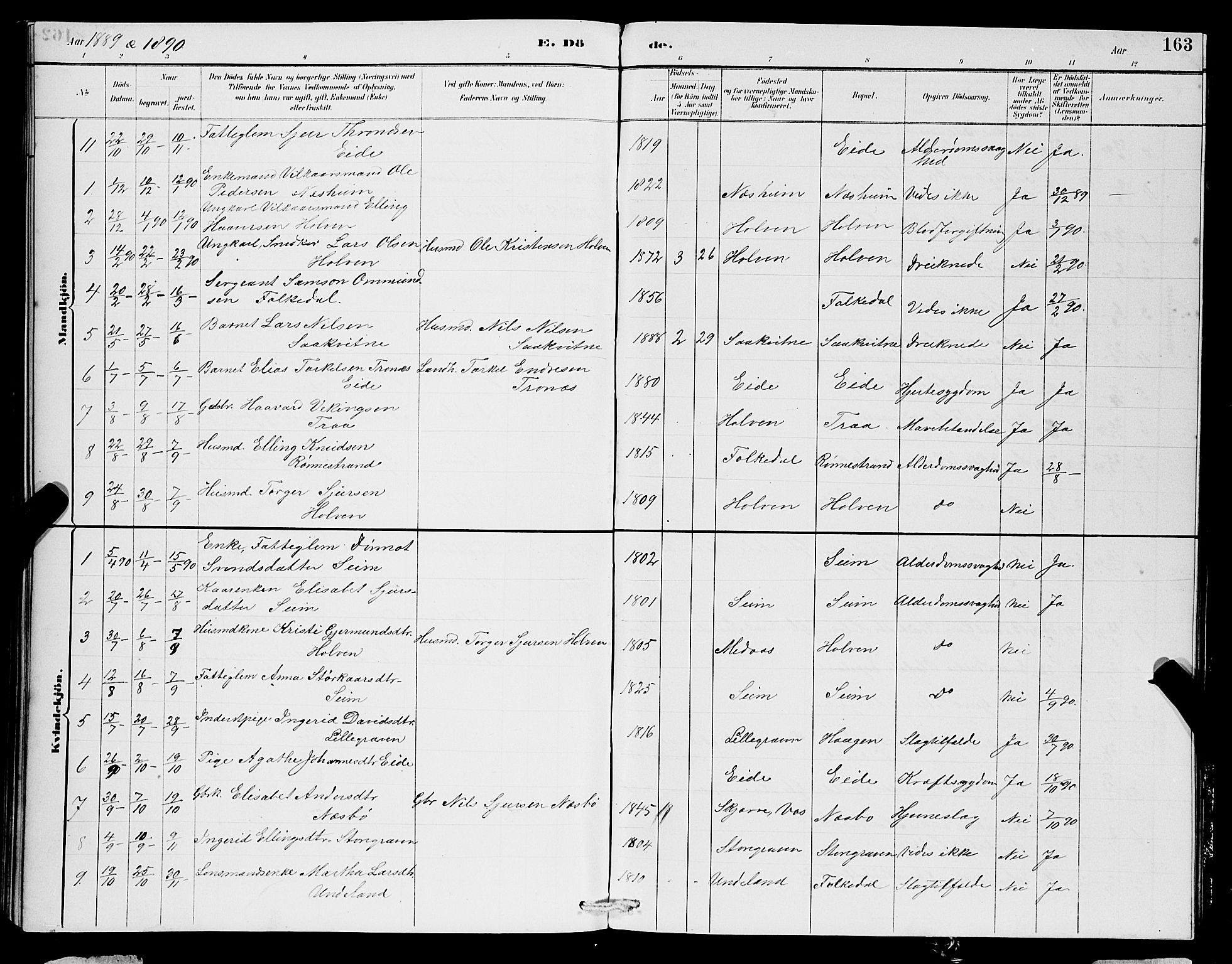 Ulvik sokneprestembete, SAB/A-78801/H/Hab: Parish register (copy) no. B 3, 1884-1901, p. 163