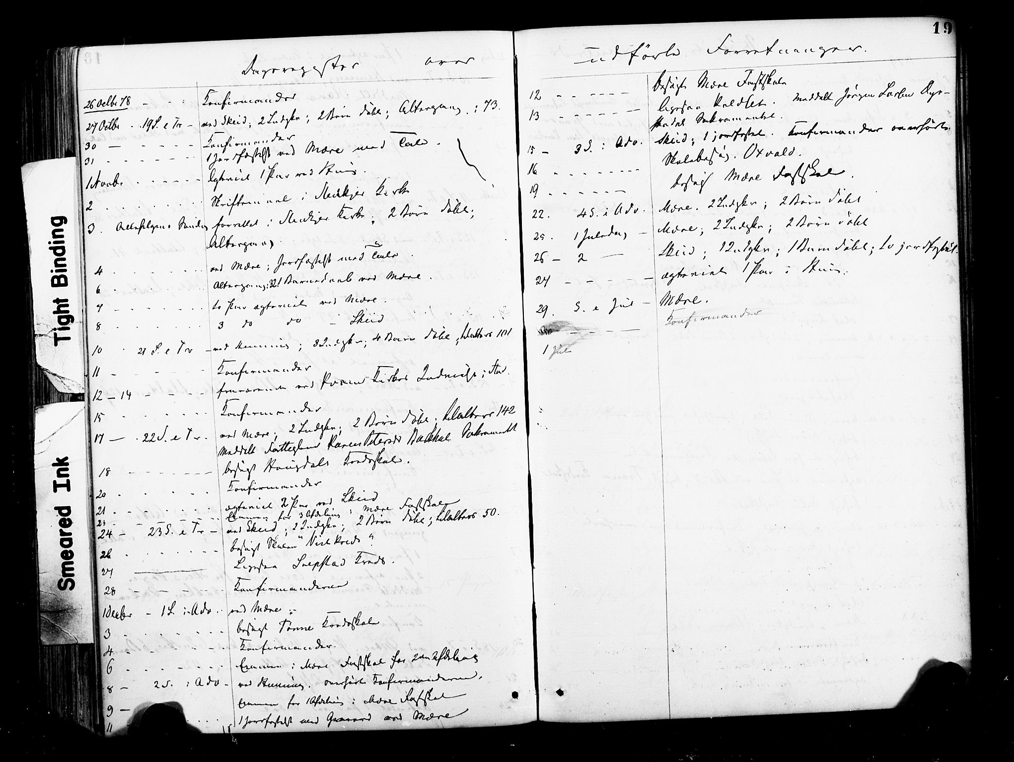 Ministerialprotokoller, klokkerbøker og fødselsregistre - Nord-Trøndelag, SAT/A-1458/735/L0348: Parish register (official) no. 735A09 /1, 1873-1883, p. 19