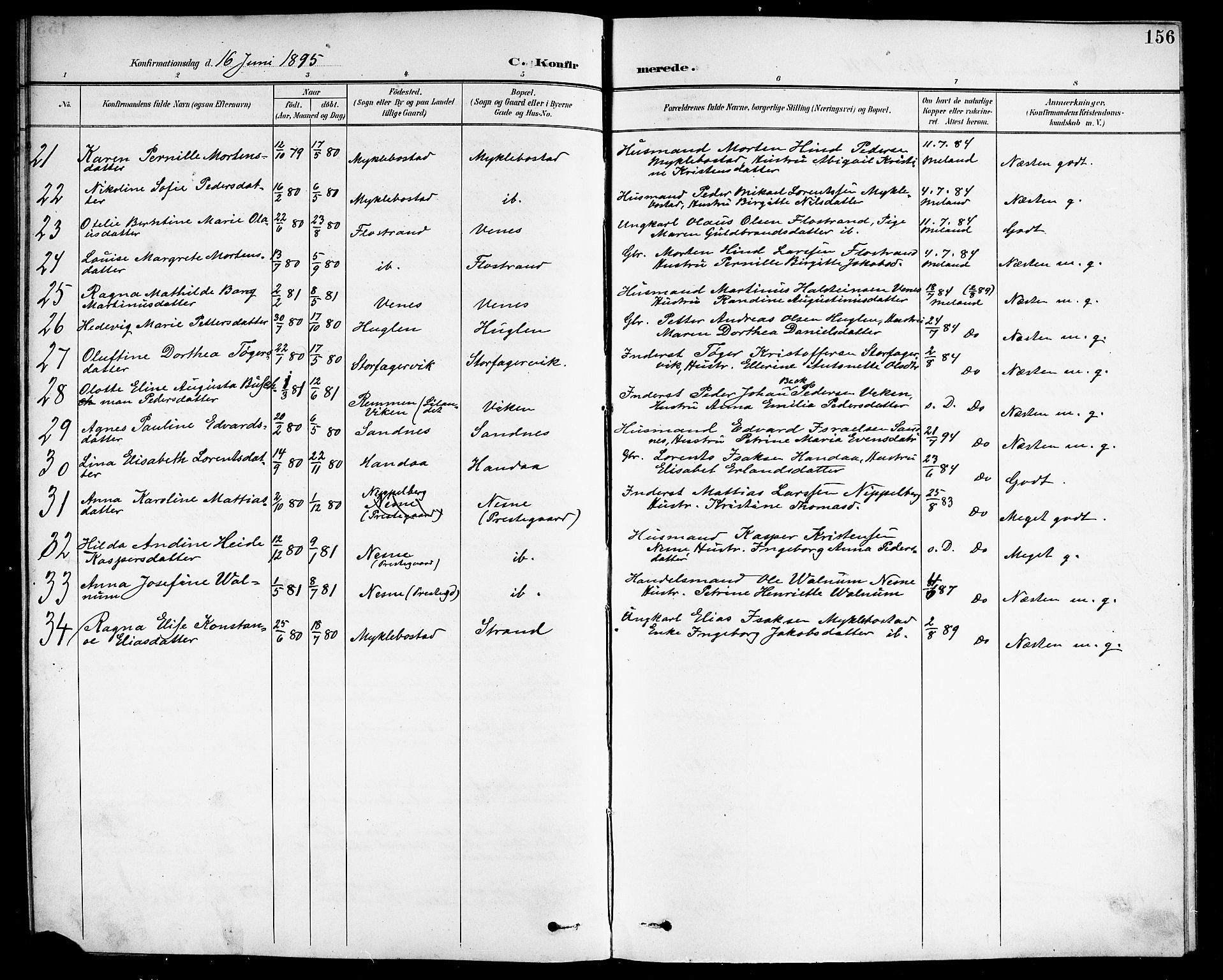 Ministerialprotokoller, klokkerbøker og fødselsregistre - Nordland, AV/SAT-A-1459/838/L0559: Parish register (copy) no. 838C06, 1893-1910, p. 156