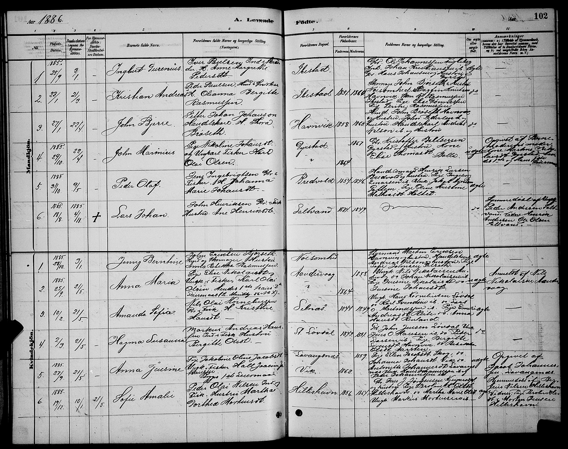 Ibestad sokneprestembete, SATØ/S-0077/H/Ha/Hab/L0007klokker: Parish register (copy) no. 7, 1879-1889, p. 102