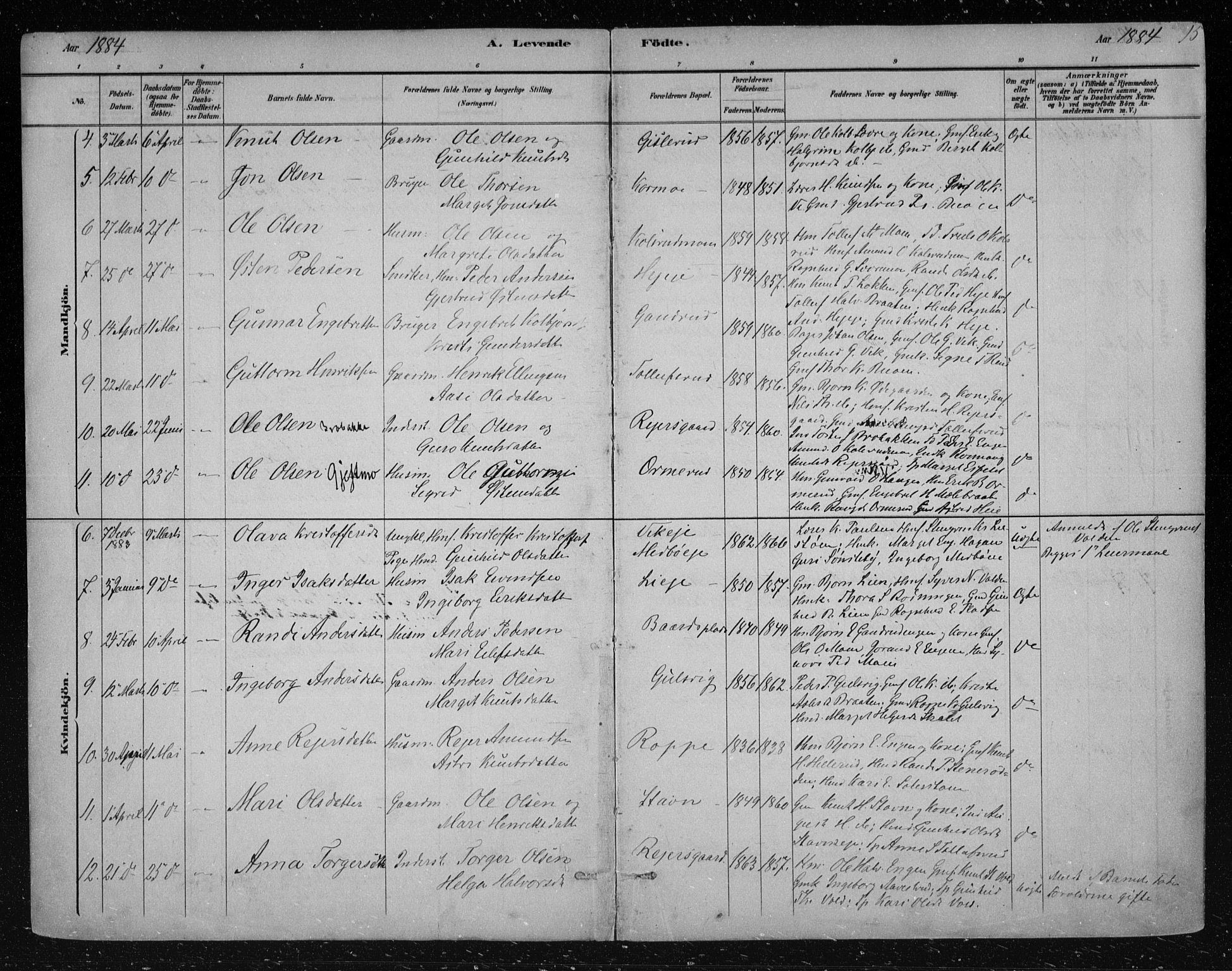 Nes kirkebøker, AV/SAKO-A-236/F/Fa/L0012: Parish register (official) no. 12, 1881-1917, p. 15