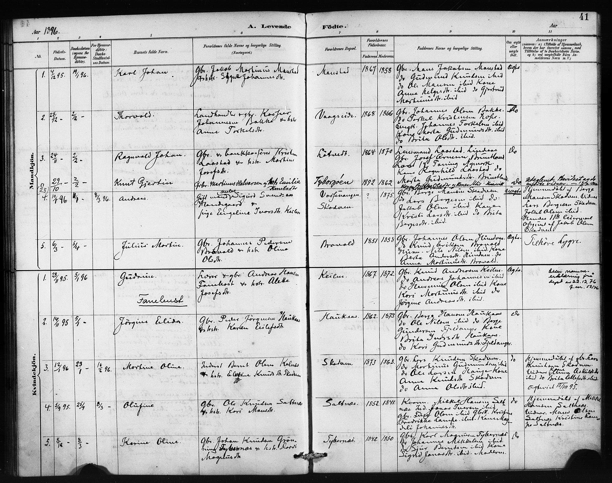Lindås Sokneprestembete, SAB/A-76701/H/Haa: Parish register (official) no. B 1, 1886-1900, p. 41