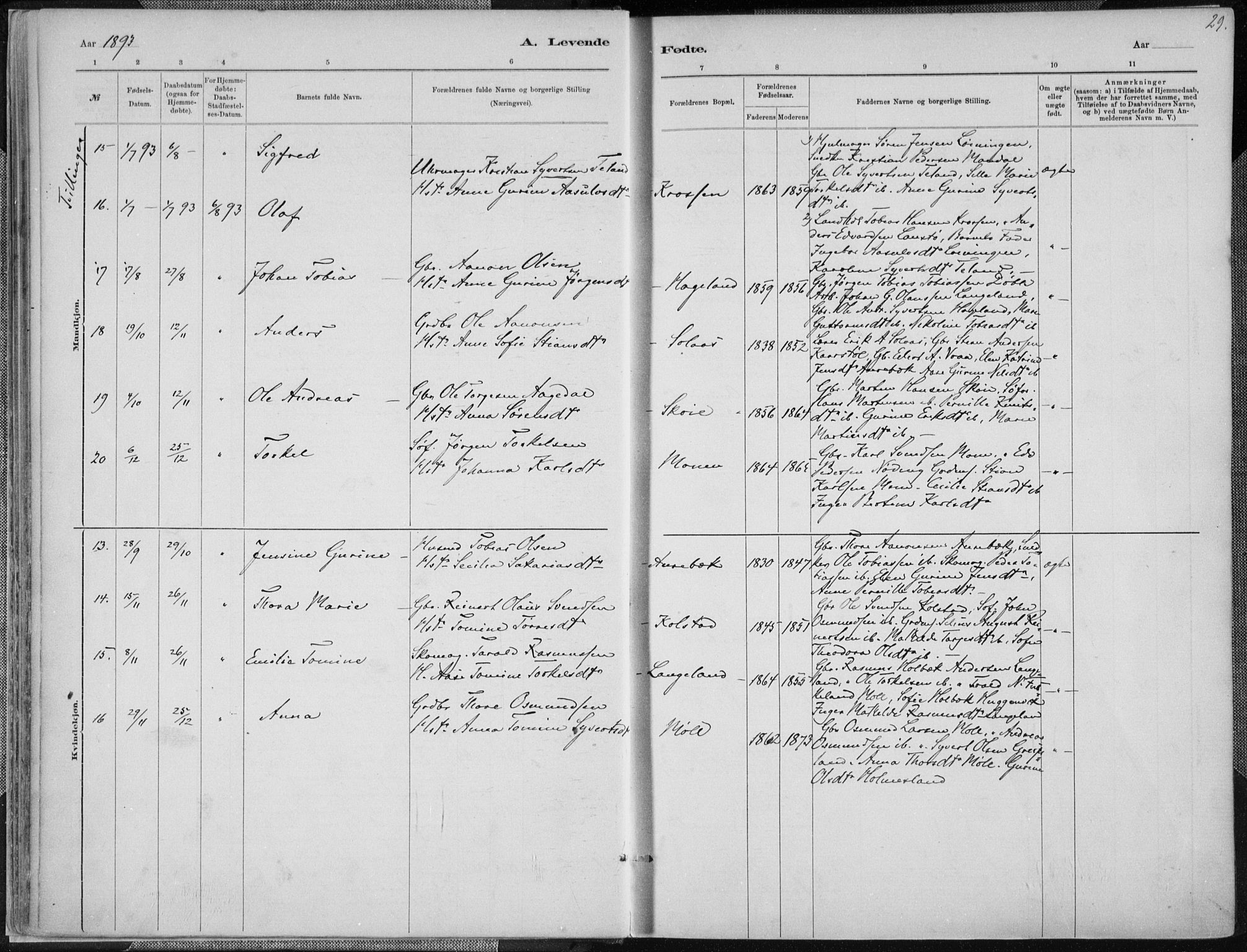 Holum sokneprestkontor, SAK/1111-0022/F/Fa/Faa/L0007: Parish register (official) no. A 7, 1884-1907, p. 29