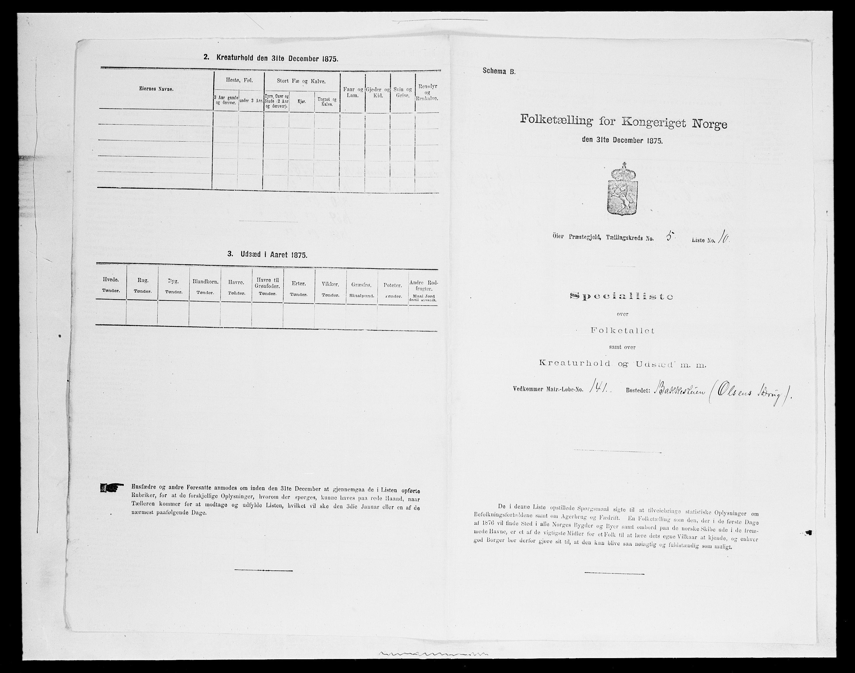 SAH, 1875 census for 0521P Øyer, 1875, p. 974