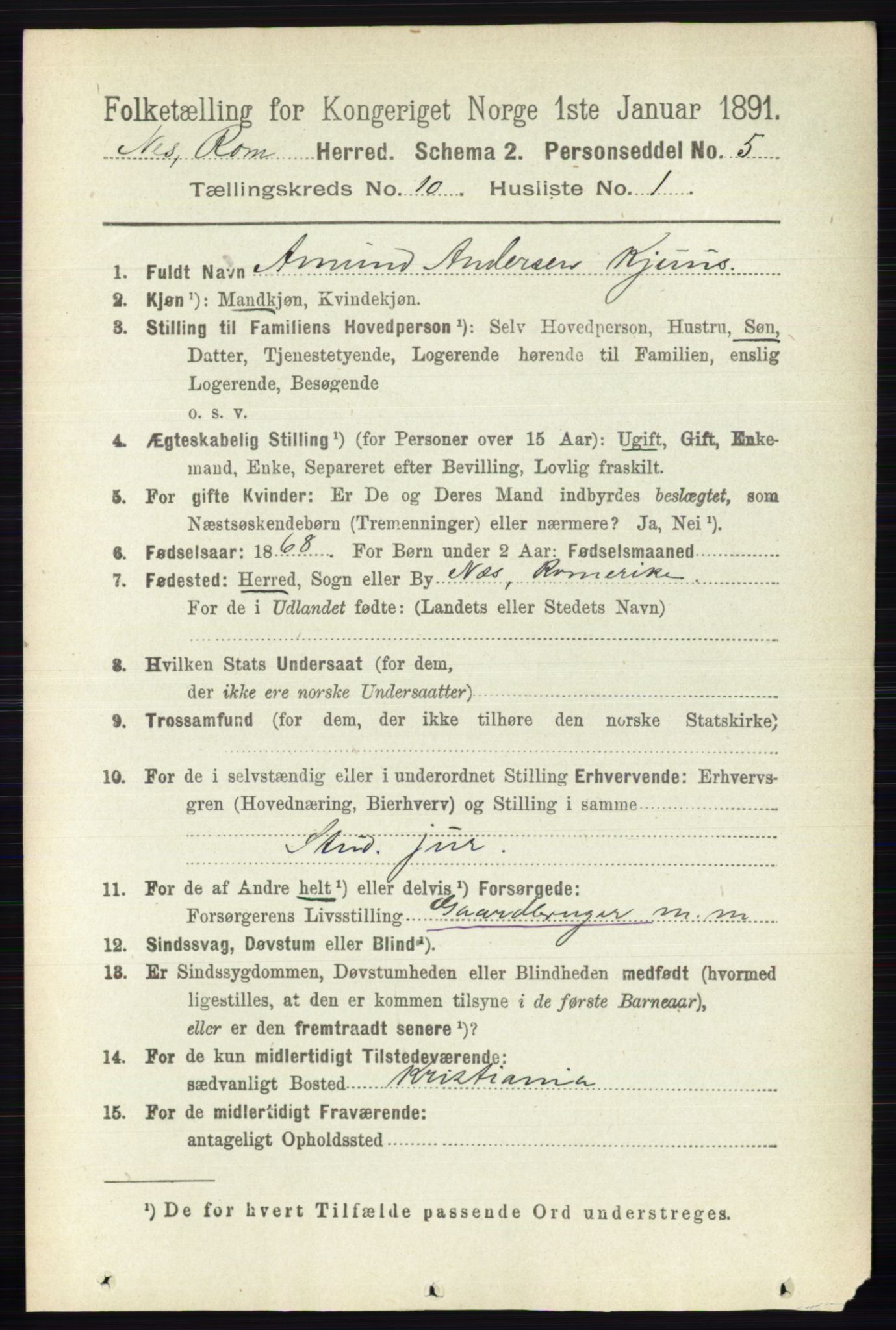 RA, 1891 census for 0236 Nes, 1891, p. 5794