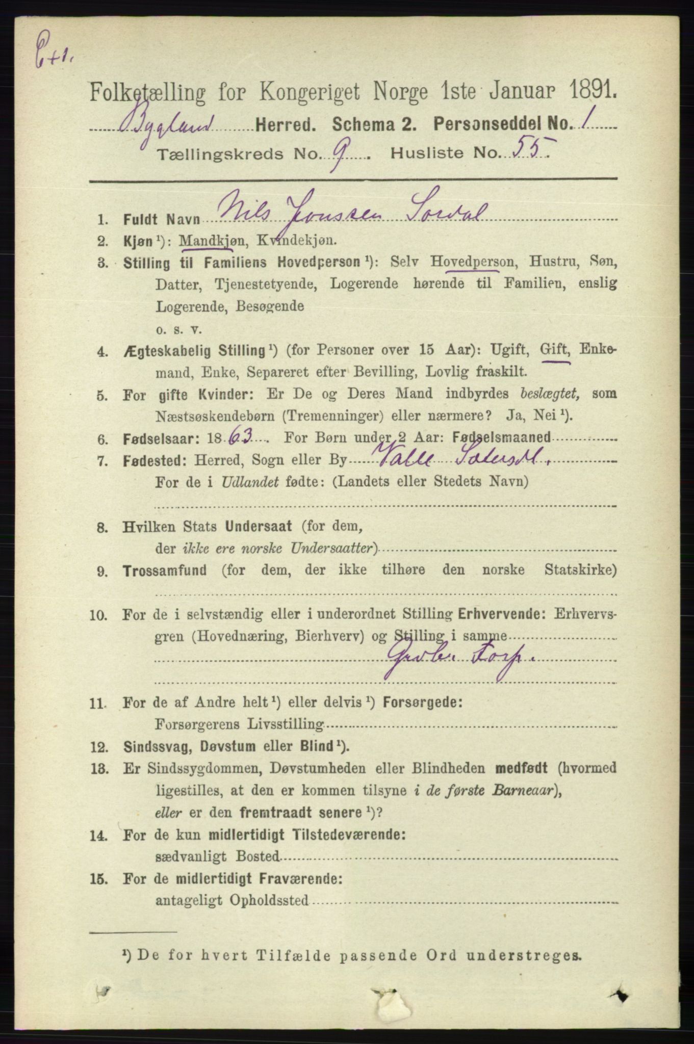 RA, Census 1891 for Nedenes amt: Gjenparter av personsedler for beslektede ektefeller, menn, 1891, p. 1042