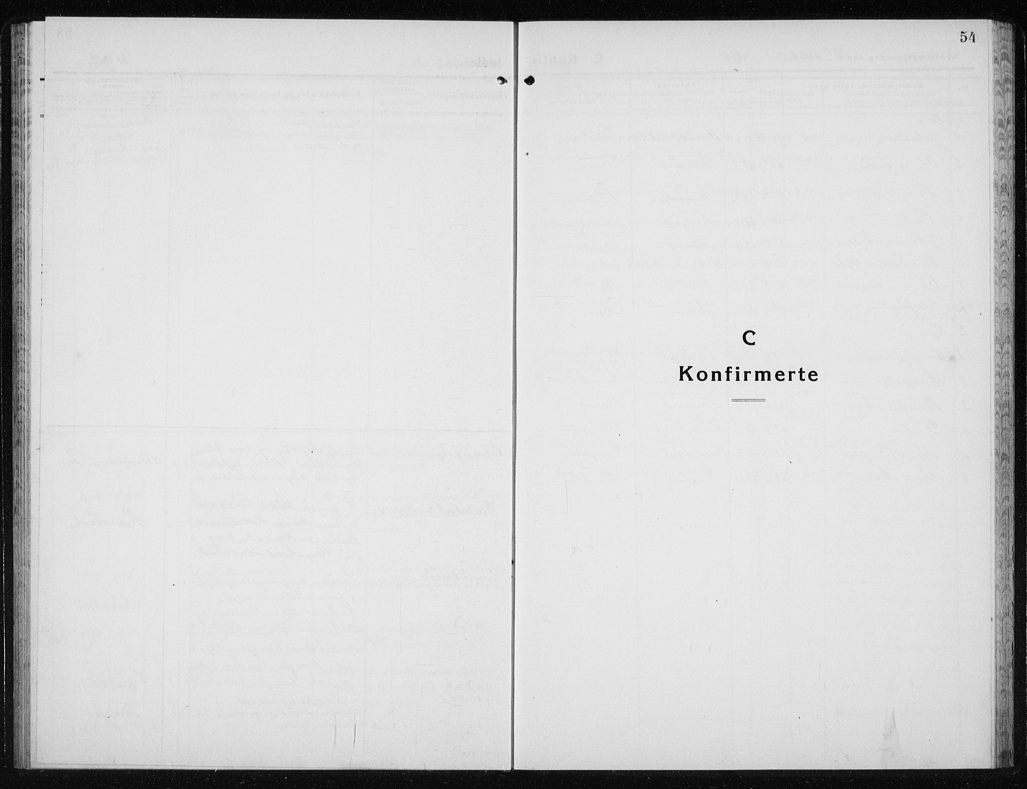 Ministerialprotokoller, klokkerbøker og fødselsregistre - Nord-Trøndelag, SAT/A-1458/719/L0180: Parish register (copy) no. 719C01, 1878-1940, p. 54