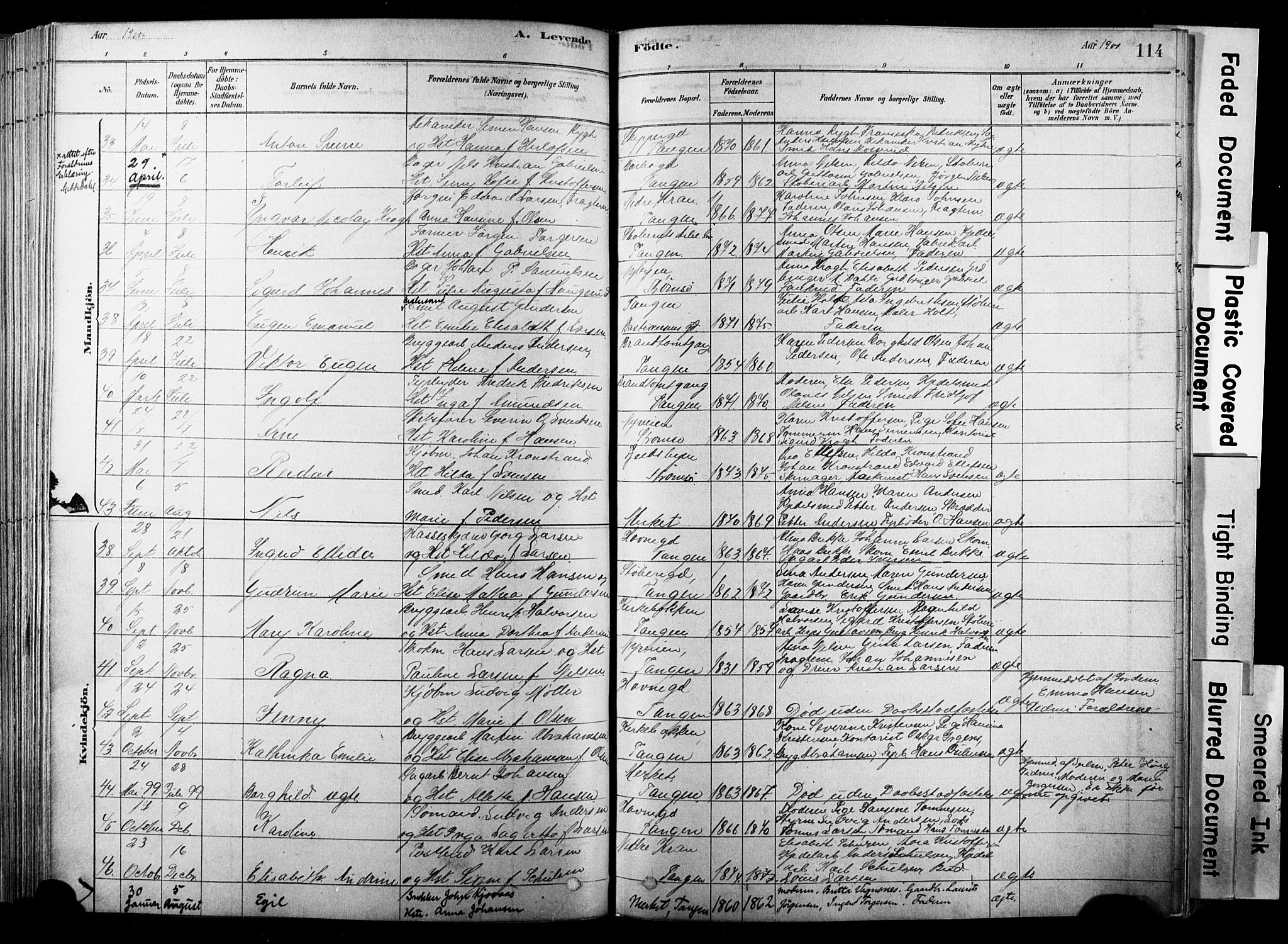 Strømsø kirkebøker, AV/SAKO-A-246/F/Fb/L0006: Parish register (official) no. II 6, 1879-1910, p. 114