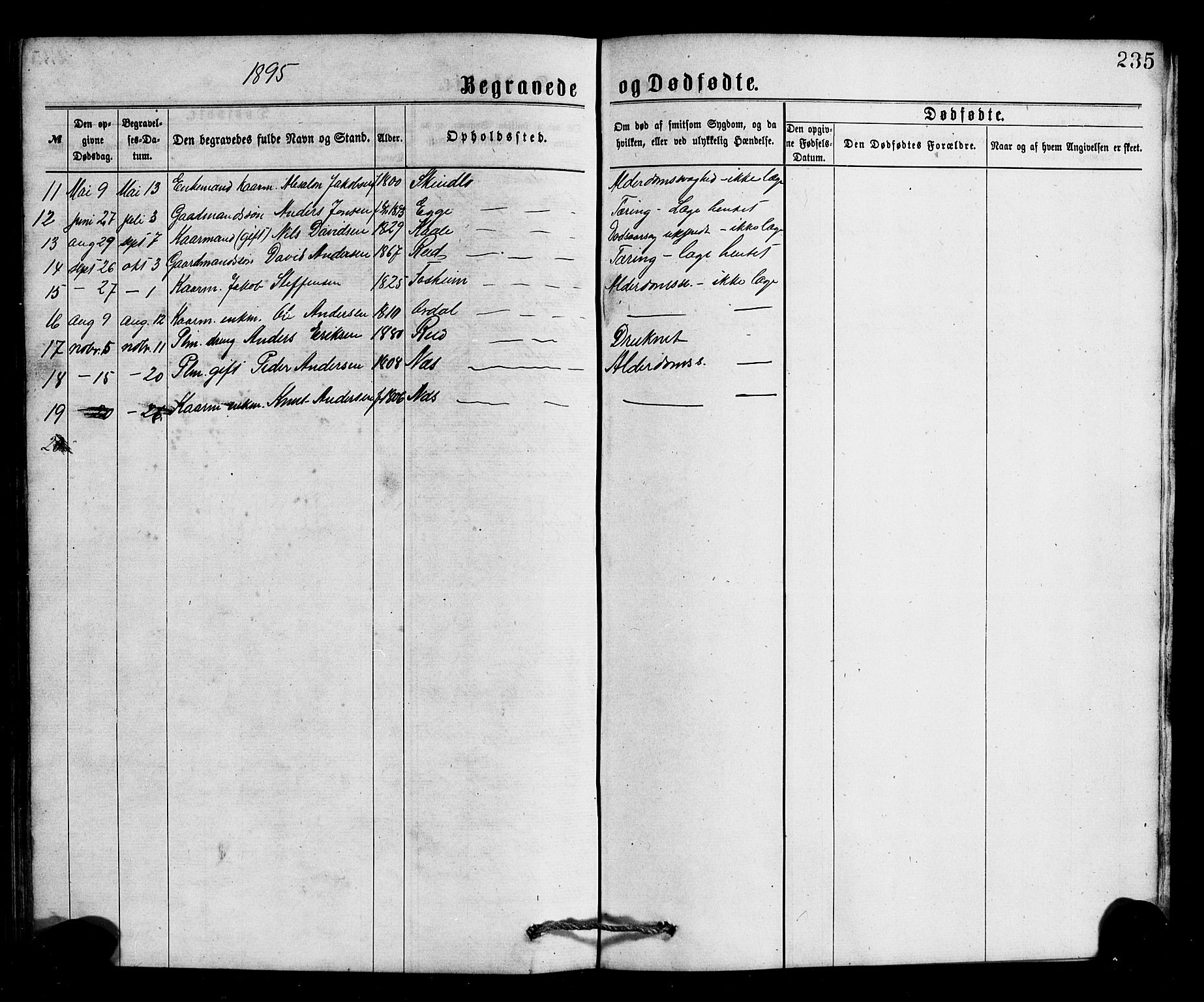 Gloppen sokneprestembete, AV/SAB-A-80101/H/Hab/Habc/L0001: Parish register (copy) no. C 1, 1872-1896, p. 235