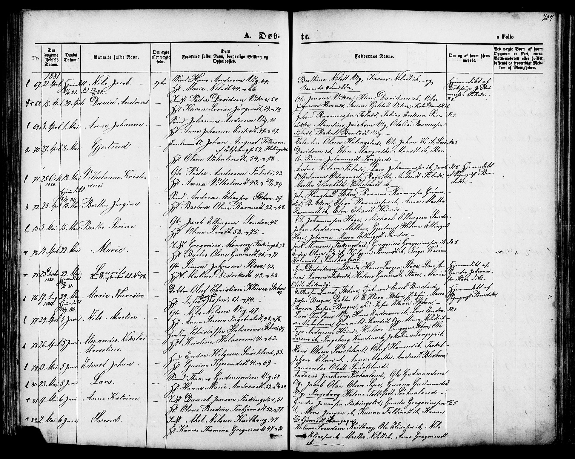 Skudenes sokneprestkontor, SAST/A -101849/H/Ha/Haa/L0006: Parish register (official) no. A 4, 1864-1881, p. 207