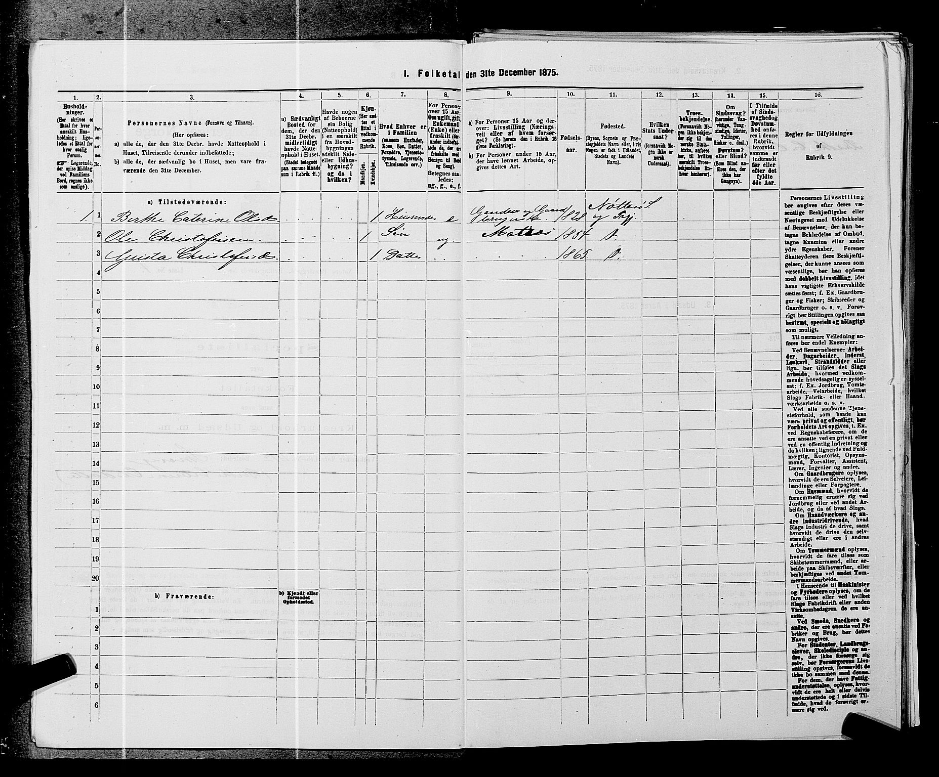 SAKO, 1875 census for 0722P Nøtterøy, 1875, p. 1742