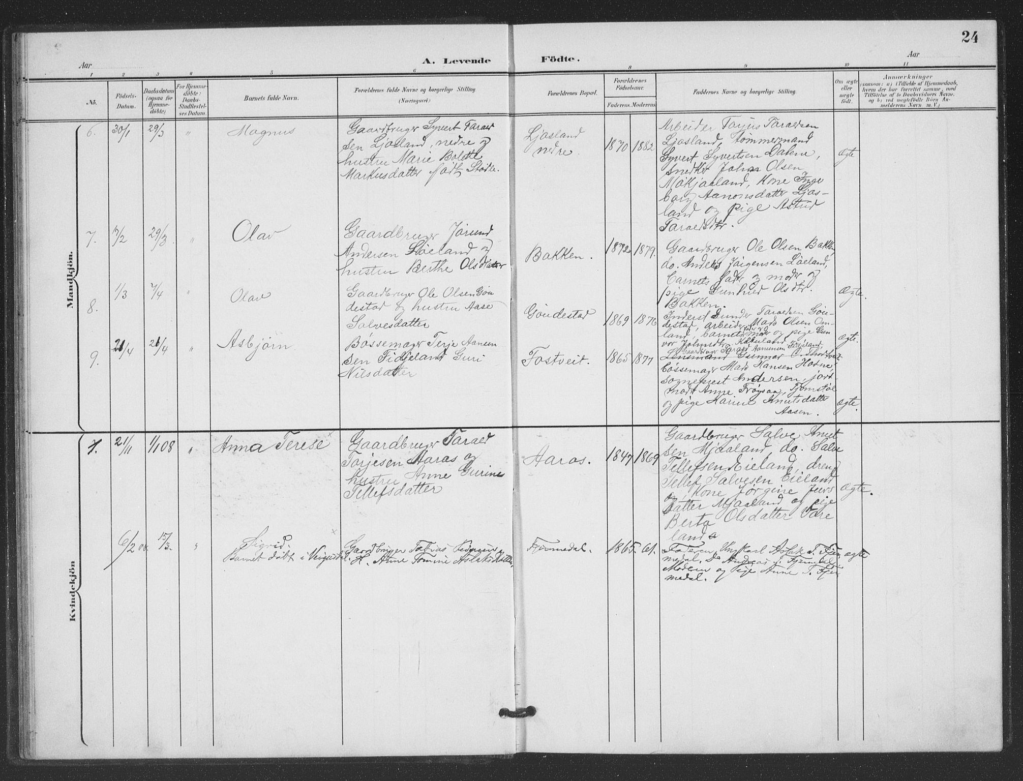 Evje sokneprestkontor, AV/SAK-1111-0008/F/Fb/Fbc/L0005: Parish register (copy) no. B 5, 1901-1935, p. 24