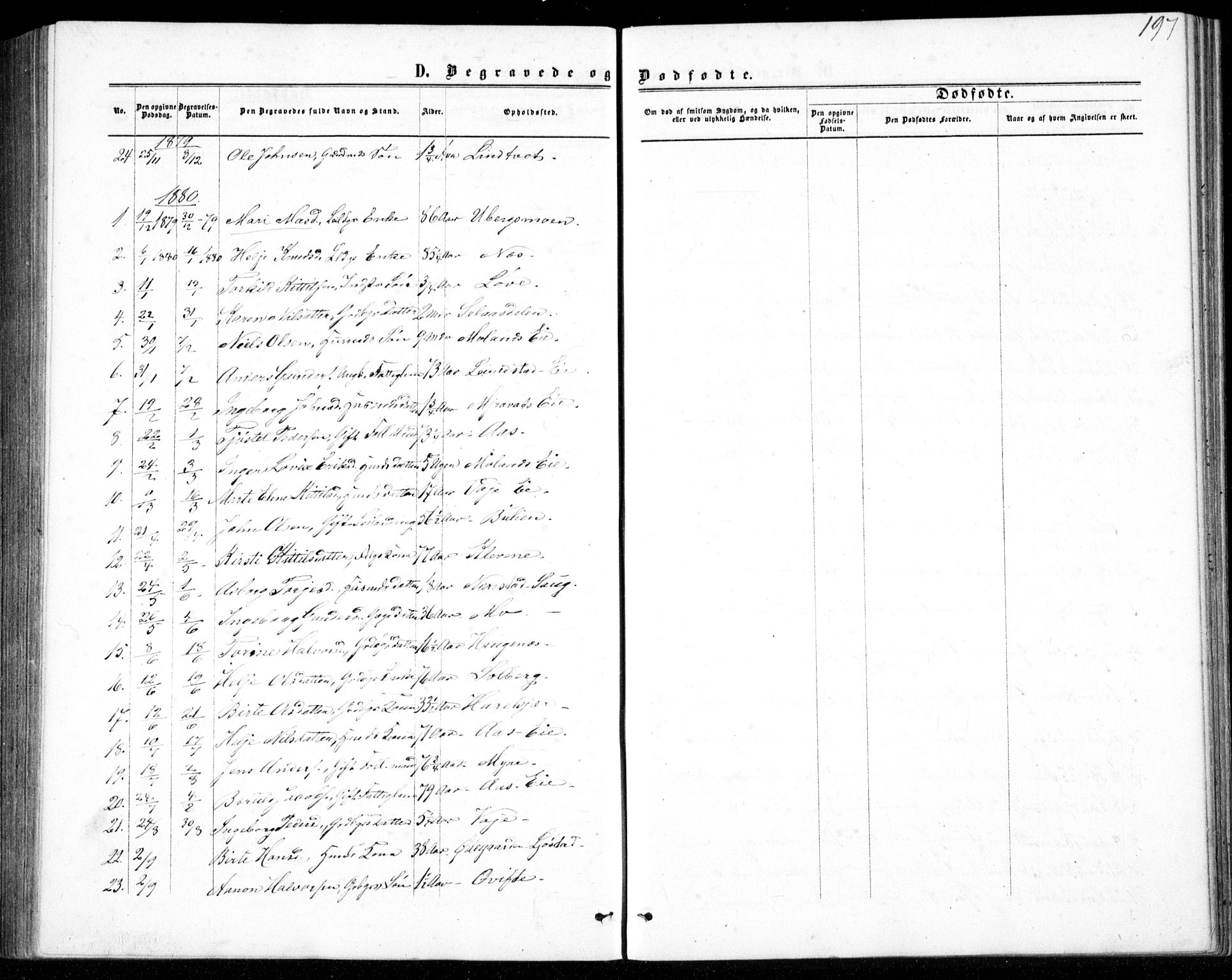 Gjerstad sokneprestkontor, AV/SAK-1111-0014/F/Fb/Fbb/L0003: Parish register (copy) no. B 3, 1862-1889, p. 197