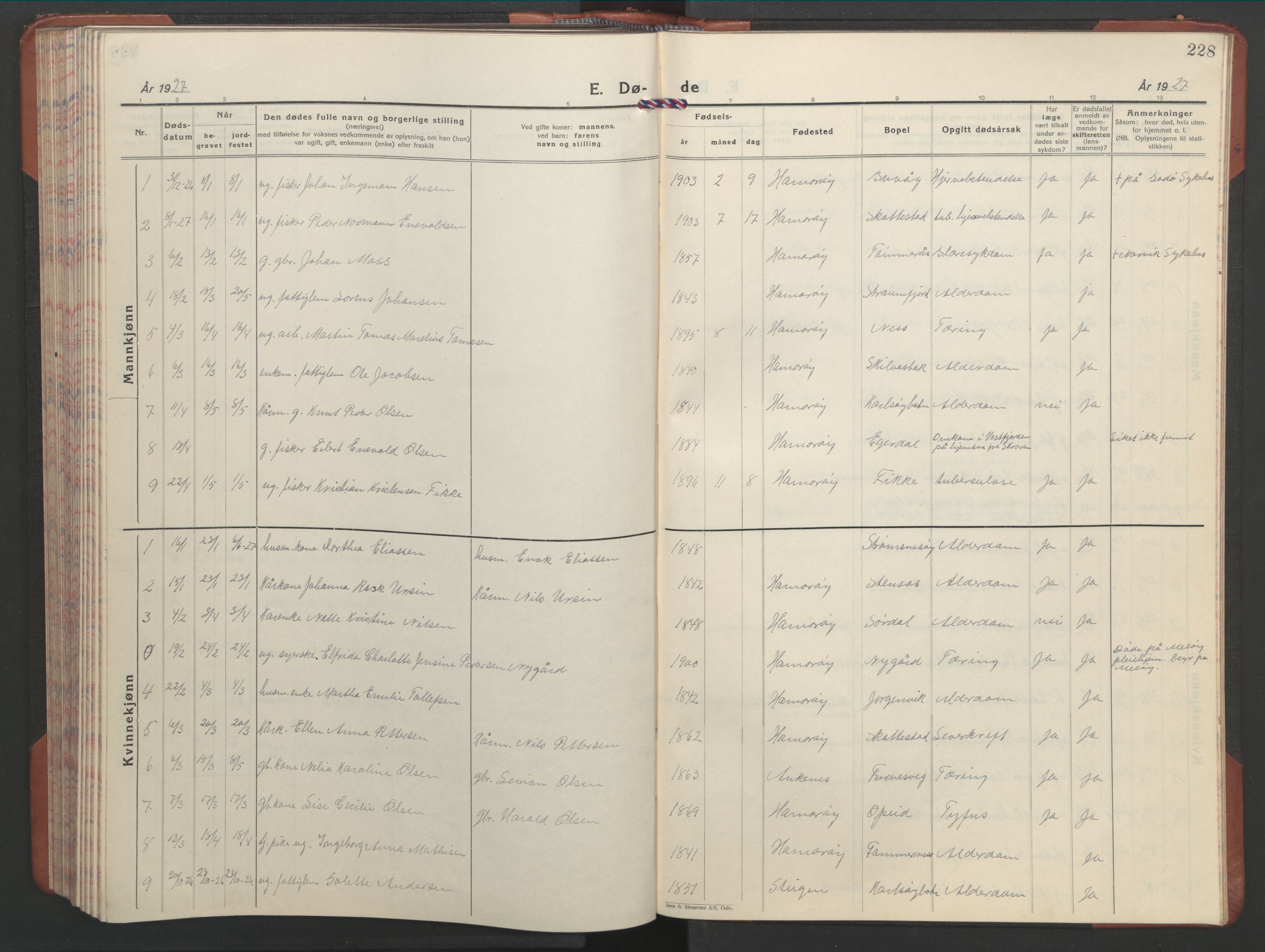 Ministerialprotokoller, klokkerbøker og fødselsregistre - Nordland, AV/SAT-A-1459/859/L0862: Parish register (copy) no. 859C08, 1925-1936, p. 228