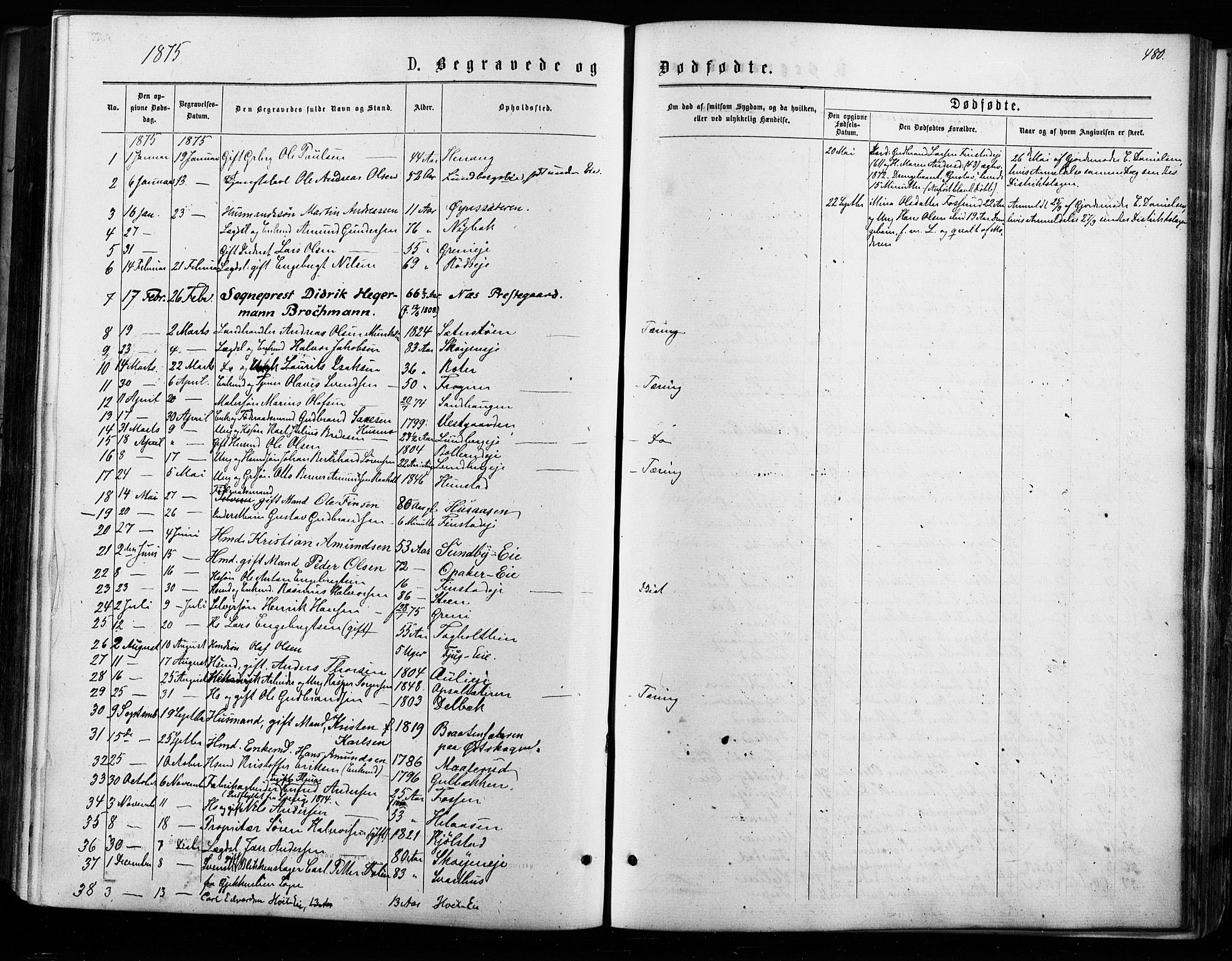 Nes prestekontor Kirkebøker, AV/SAO-A-10410/F/Fa/L0009: Parish register (official) no. I 9, 1875-1882, p. 480