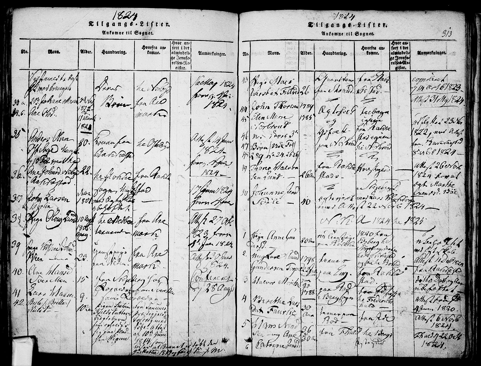 Berg prestekontor Kirkebøker, SAO/A-10902/F/Fa/L0002: Parish register (official) no. I 2, 1815-1831, p. 313