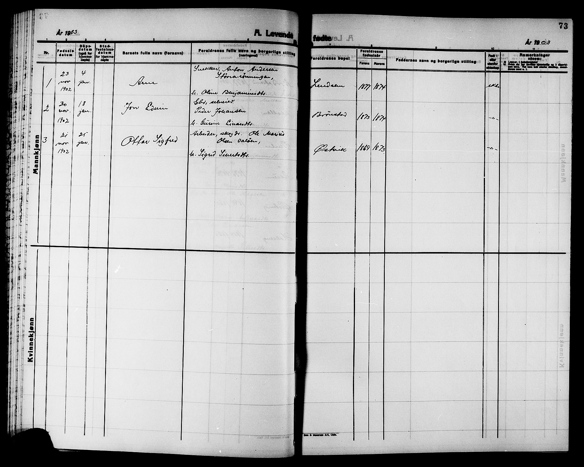 Ministerialprotokoller, klokkerbøker og fødselsregistre - Nord-Trøndelag, AV/SAT-A-1458/749/L0487: Parish register (official) no. 749D03, 1887-1902, p. 73