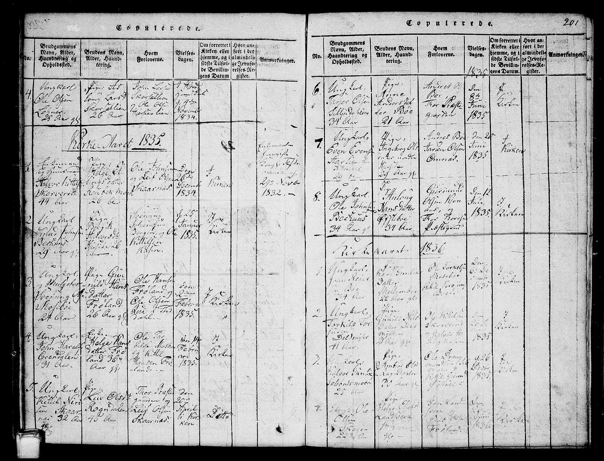 Hjartdal kirkebøker, SAKO/A-270/G/Gb/L0001: Parish register (copy) no. II 1, 1815-1842, p. 201