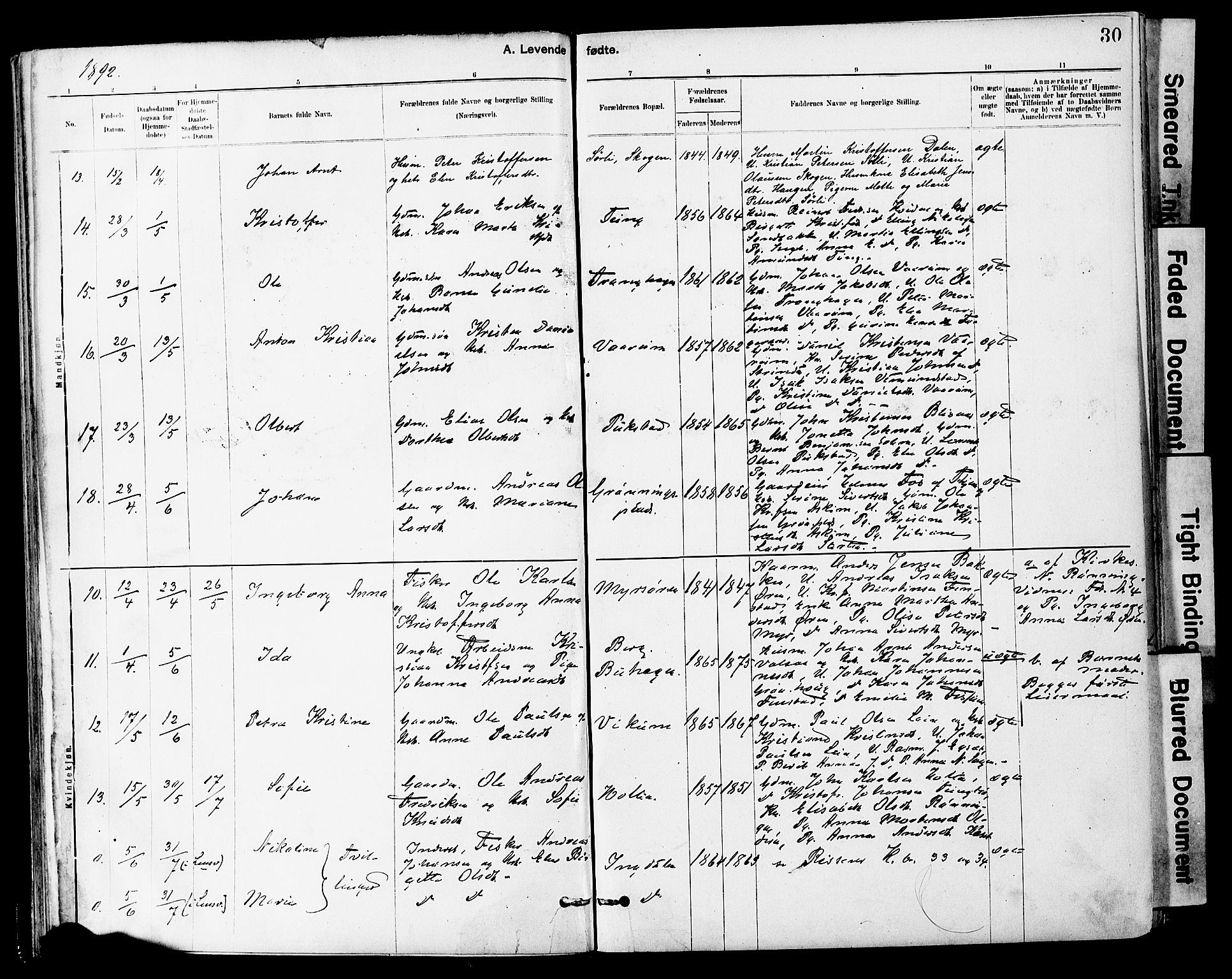 Ministerialprotokoller, klokkerbøker og fødselsregistre - Sør-Trøndelag, SAT/A-1456/646/L0615: Parish register (official) no. 646A13, 1885-1900, p. 30