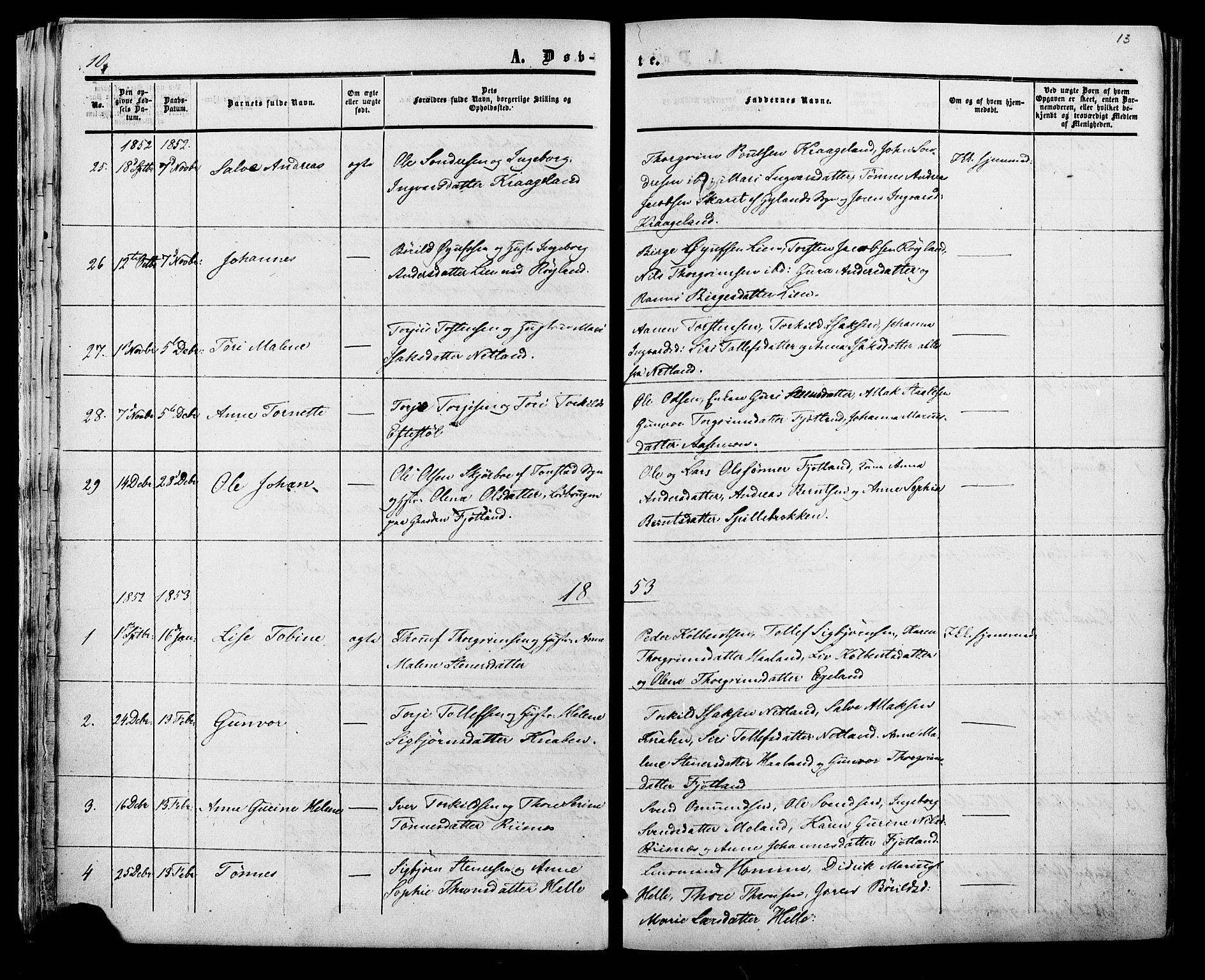 Fjotland sokneprestkontor, AV/SAK-1111-0010/F/Fa/L0001: Parish register (official) no. A 1, 1850-1879, p. 13