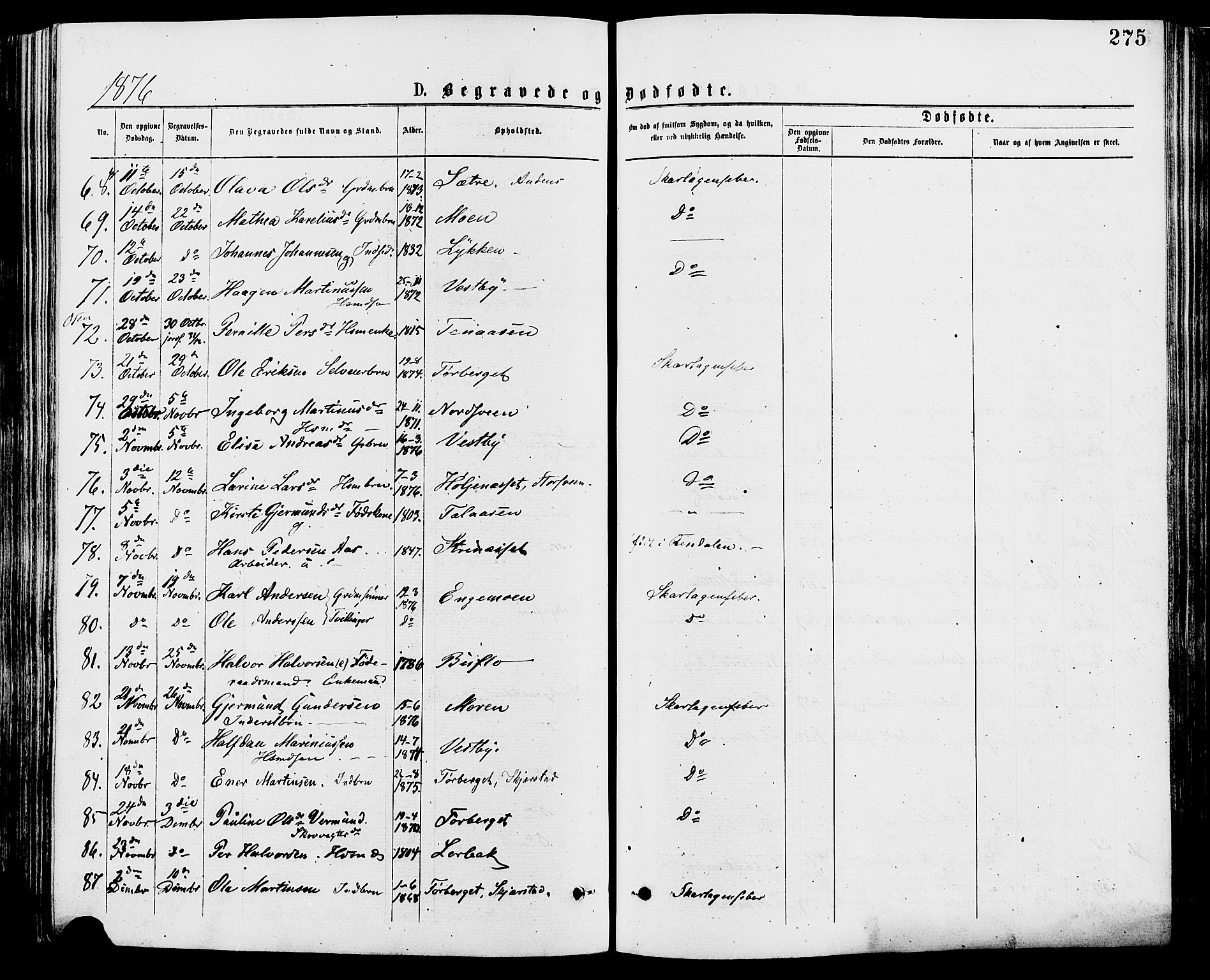 Trysil prestekontor, AV/SAH-PREST-046/H/Ha/Haa/L0007: Parish register (official) no. 7, 1874-1880, p. 275