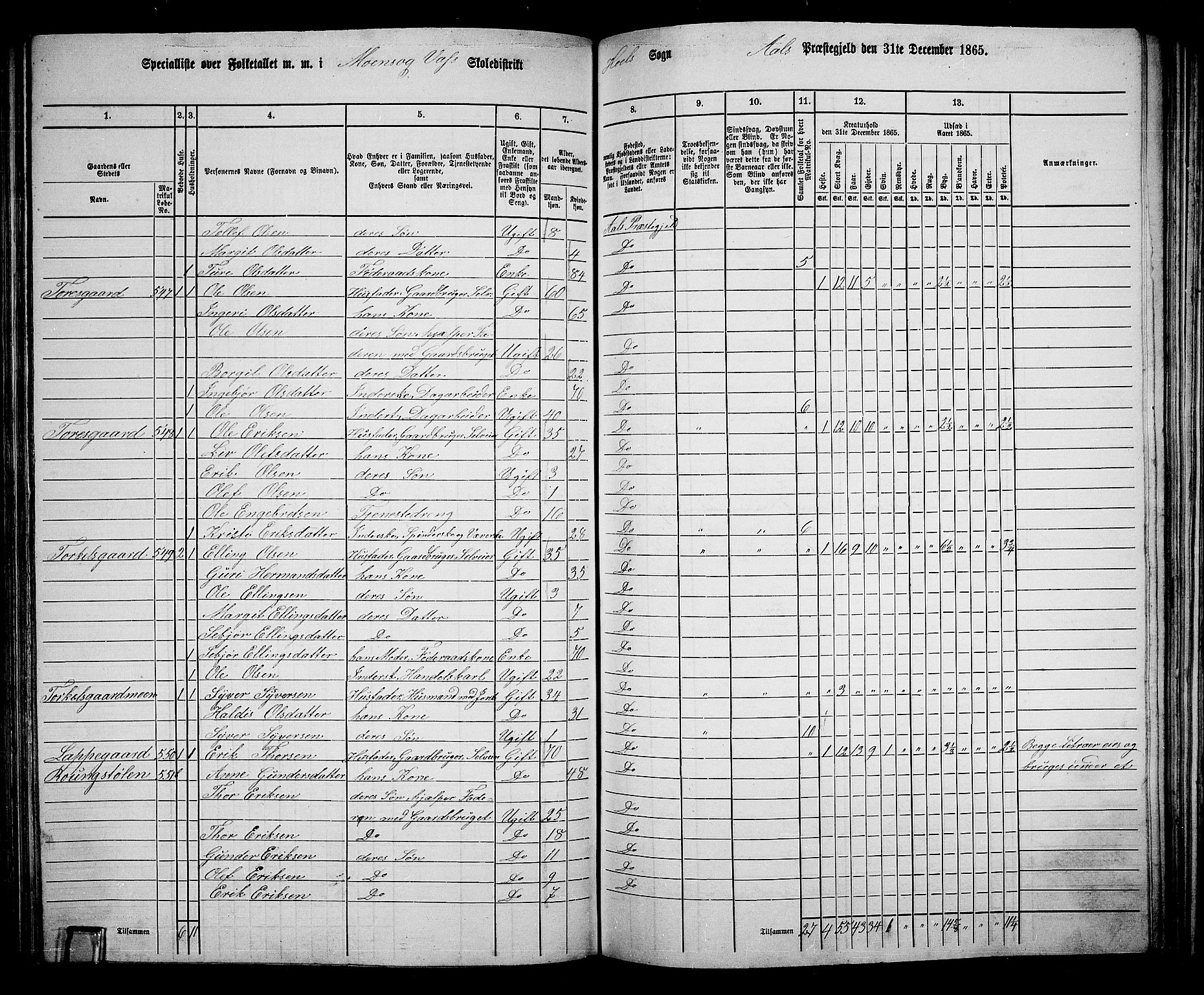 RA, 1865 census for Ål, 1865, p. 176