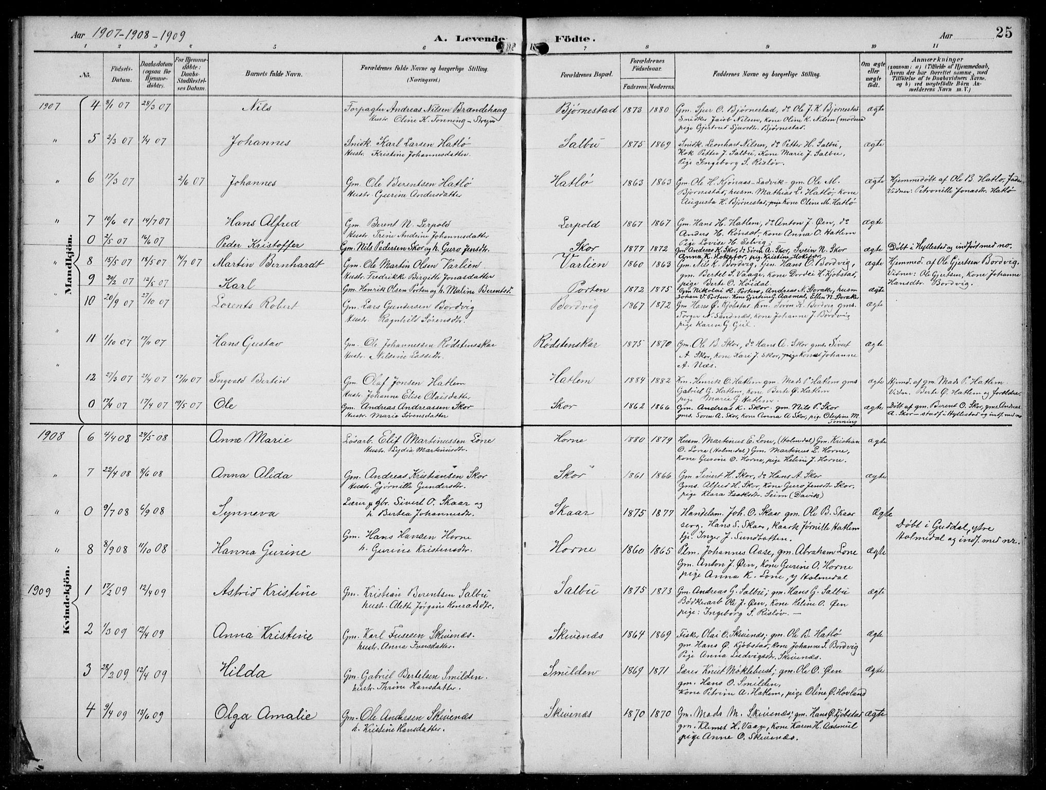 Hyllestad sokneprestembete, SAB/A-80401: Parish register (copy) no. C 3, 1894-1913, p. 25