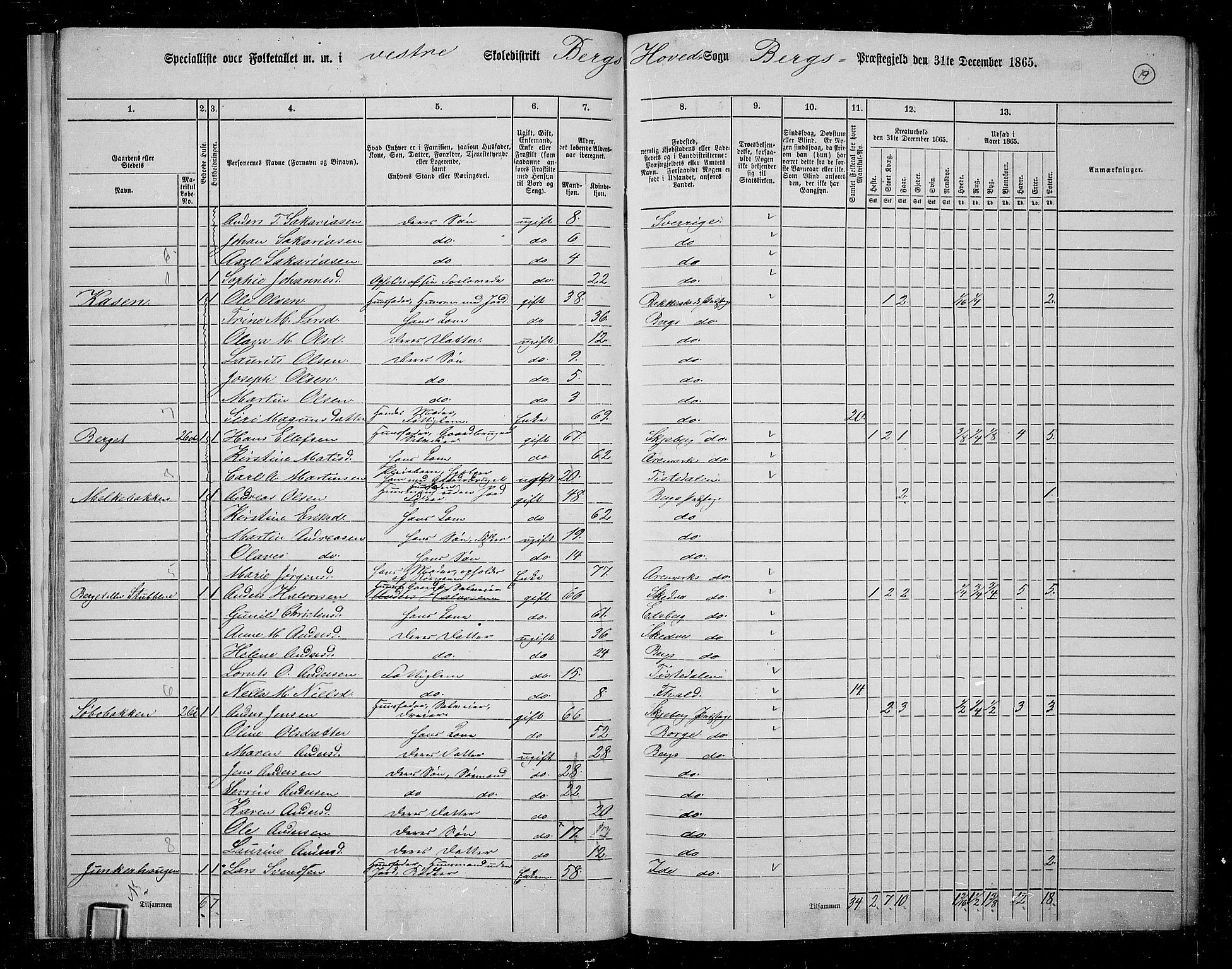 RA, 1865 census for Berg, 1865, p. 19