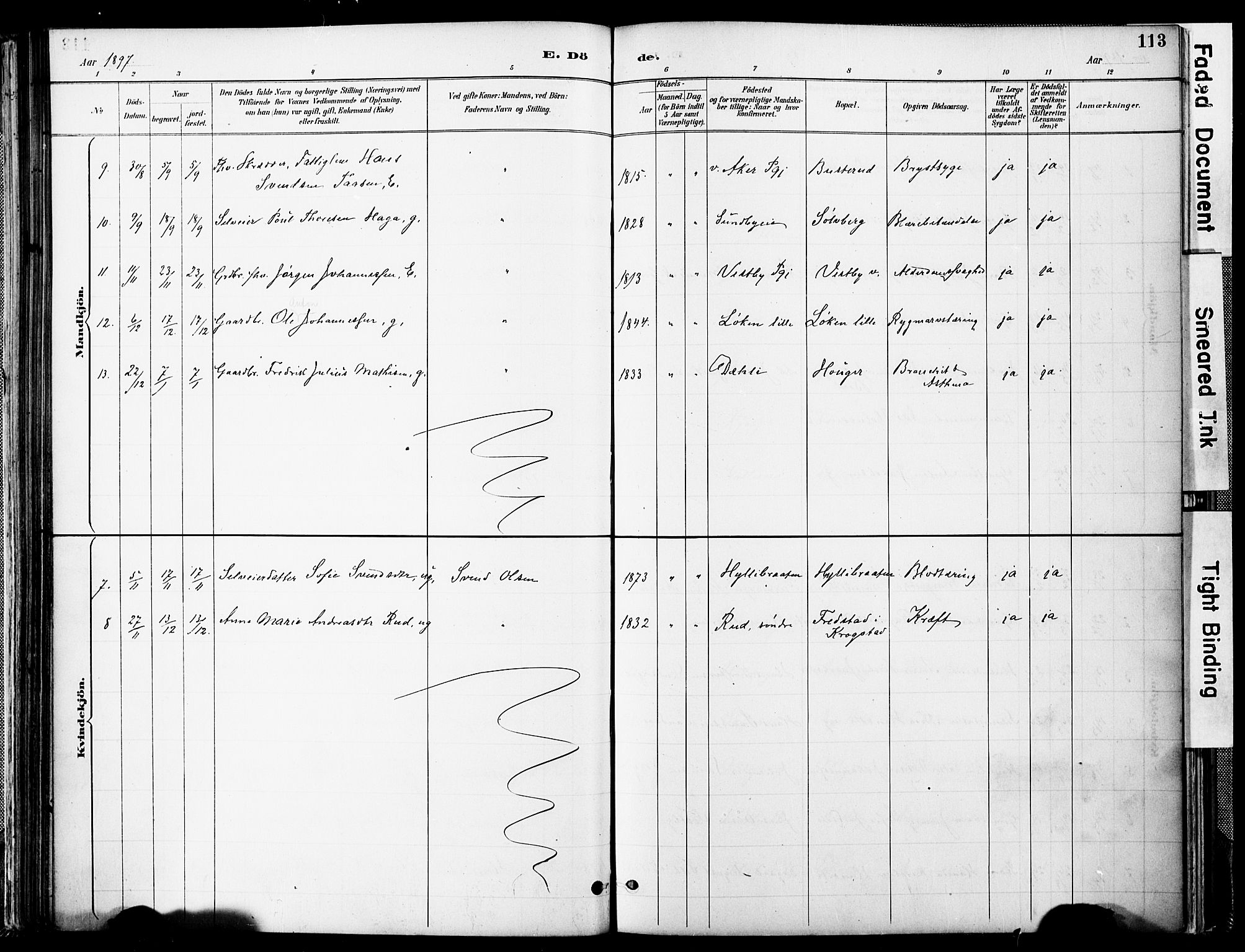 Spydeberg prestekontor Kirkebøker, AV/SAO-A-10924/F/Fa/L0008: Parish register (official) no. I 8, 1886-1900, p. 113