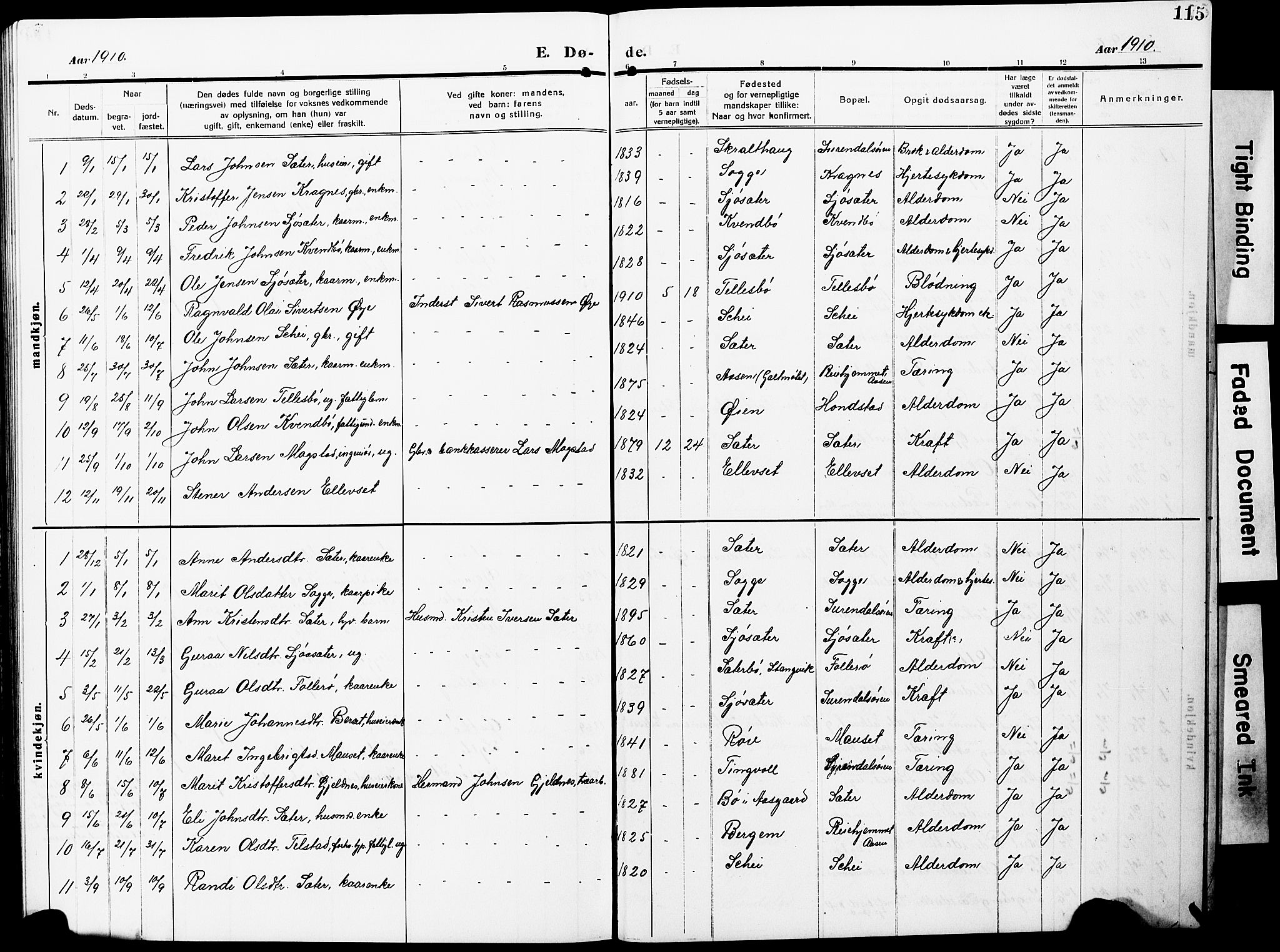 Ministerialprotokoller, klokkerbøker og fødselsregistre - Møre og Romsdal, SAT/A-1454/596/L1059: Parish register (copy) no. 596C02, 1908-1922, p. 115