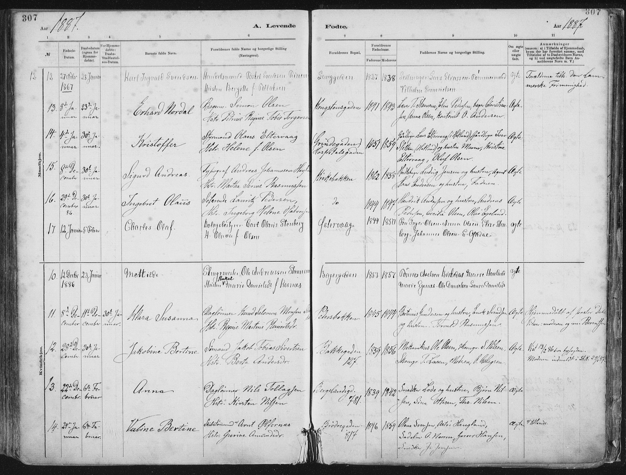 St. Petri sokneprestkontor, AV/SAST-A-101813/001/30/30BA/L0015: Parish register (official) no. A 15, 1879-1888, p. 307