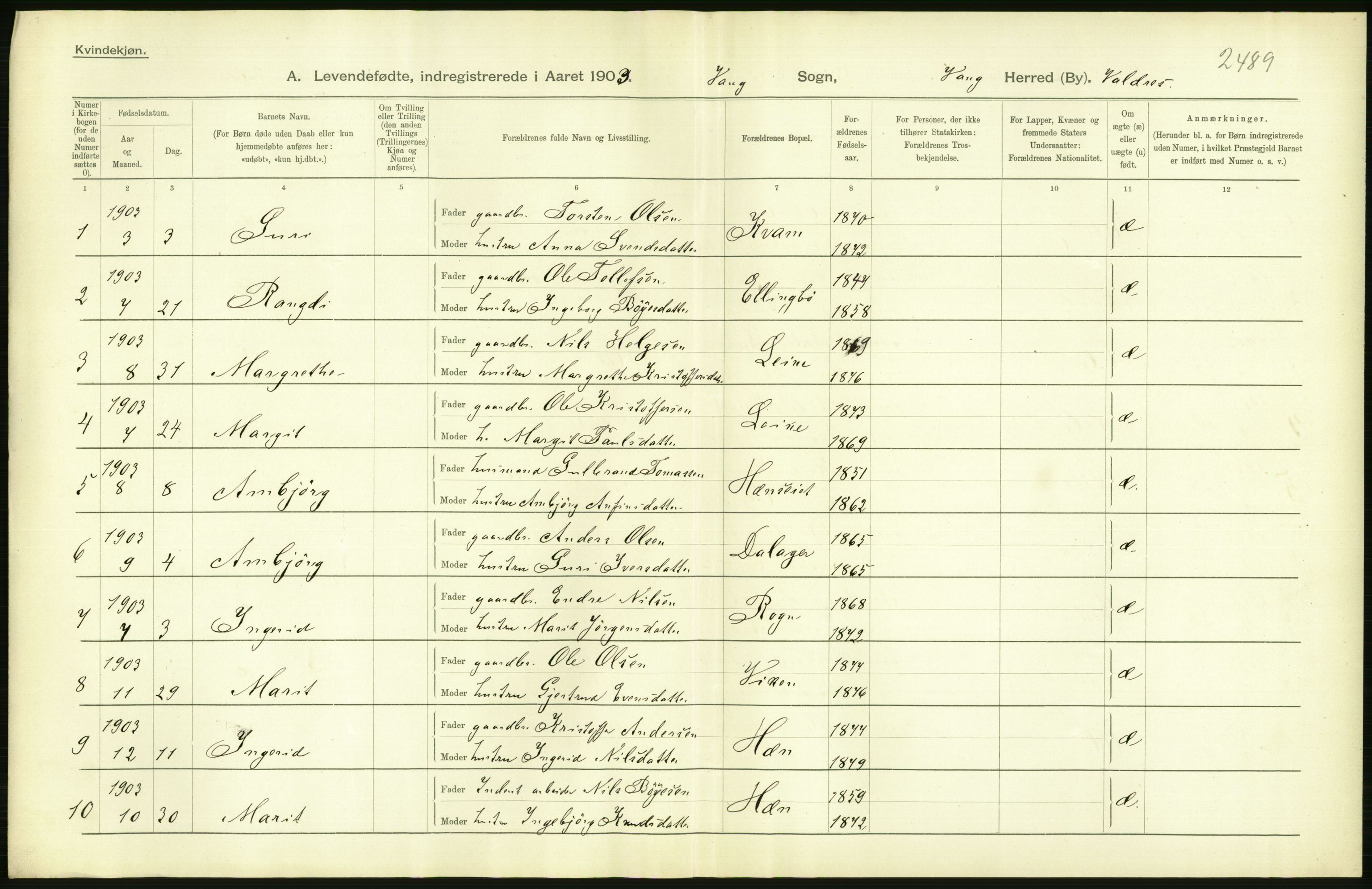 Statistisk sentralbyrå, Sosiodemografiske emner, Befolkning, AV/RA-S-2228/D/Df/Dfa/Dfaa/L0006: Kristians amt: Fødte, gifte, døde, 1903, p. 384