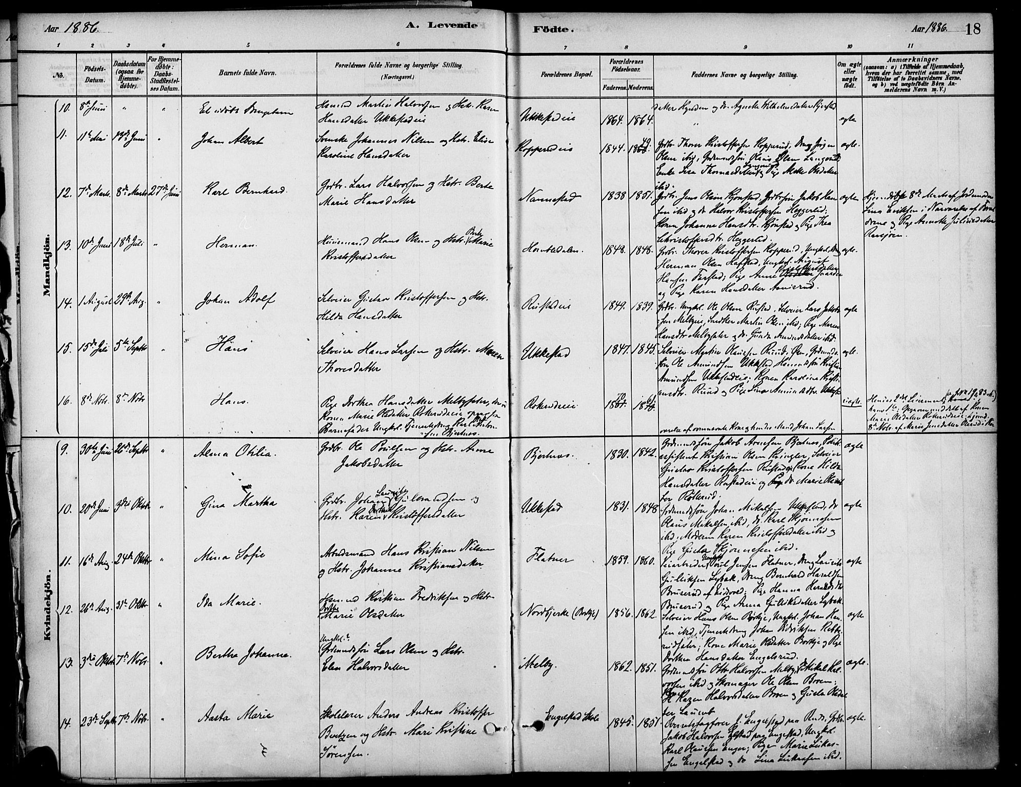 Nannestad prestekontor Kirkebøker, AV/SAO-A-10414a/F/Fa/L0014: Parish register (official) no. I 14, 1881-1890, p. 18