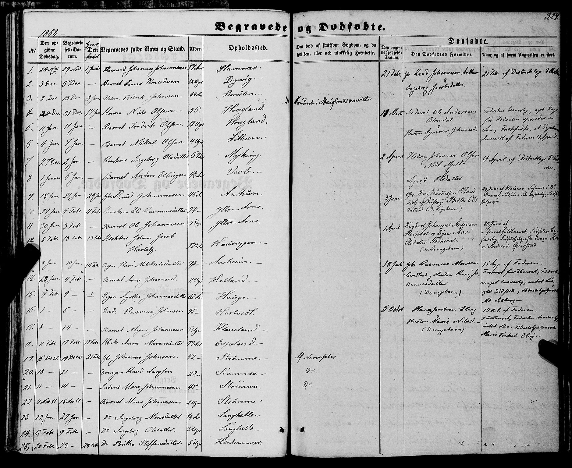 Haus sokneprestembete, SAB/A-75601/H/Haa: Parish register (official) no. A 17, 1858-1870, p. 324