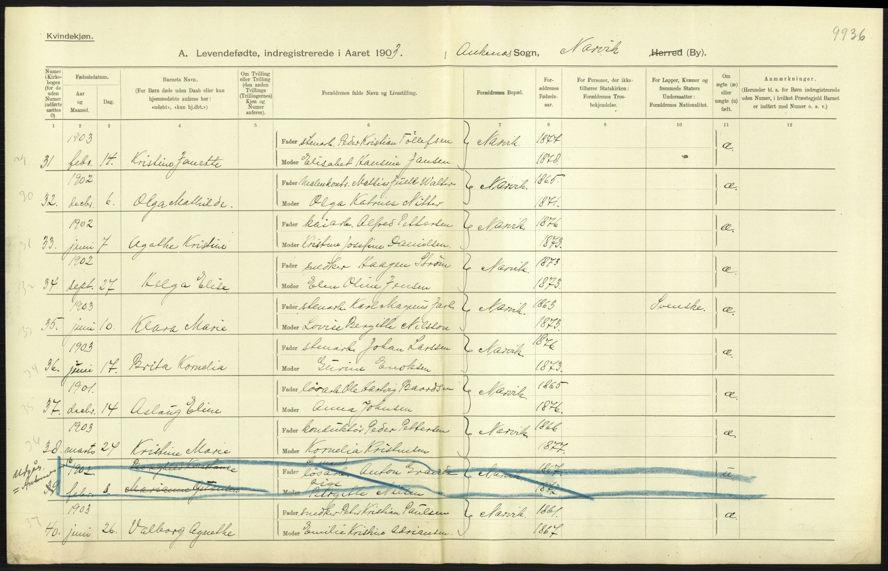 Statistisk sentralbyrå, Sosiodemografiske emner, Befolkning, AV/RA-S-2228/D/Df/Dfa/Dfaa/L0019: Nordlands amt: Fødte, gifte, døde., 1903, p. 31