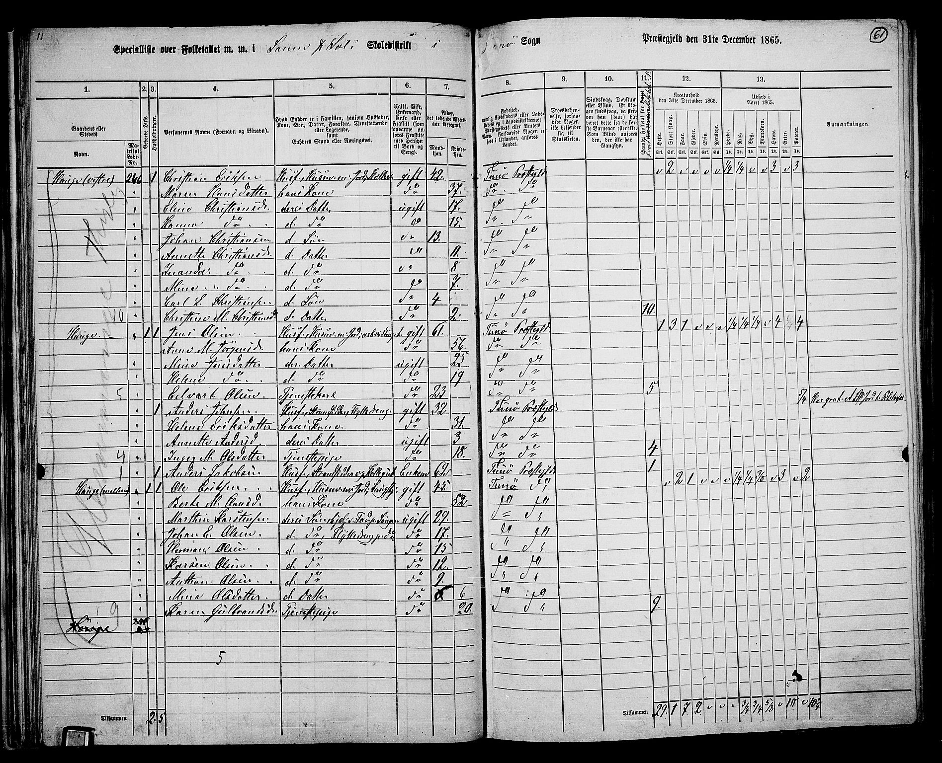 RA, 1865 census for Tune, 1865, p. 57