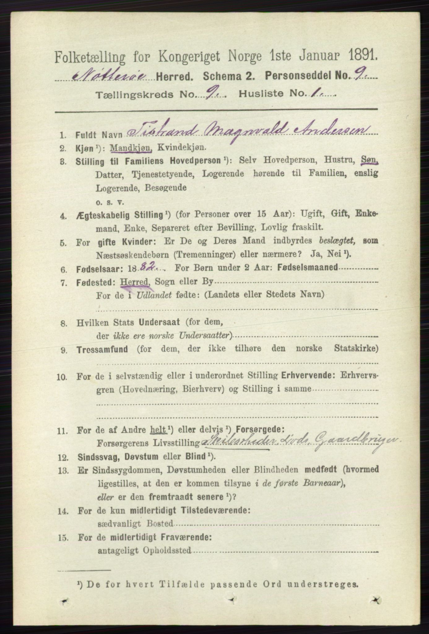 RA, 1891 census for 0722 Nøtterøy, 1891, p. 4565