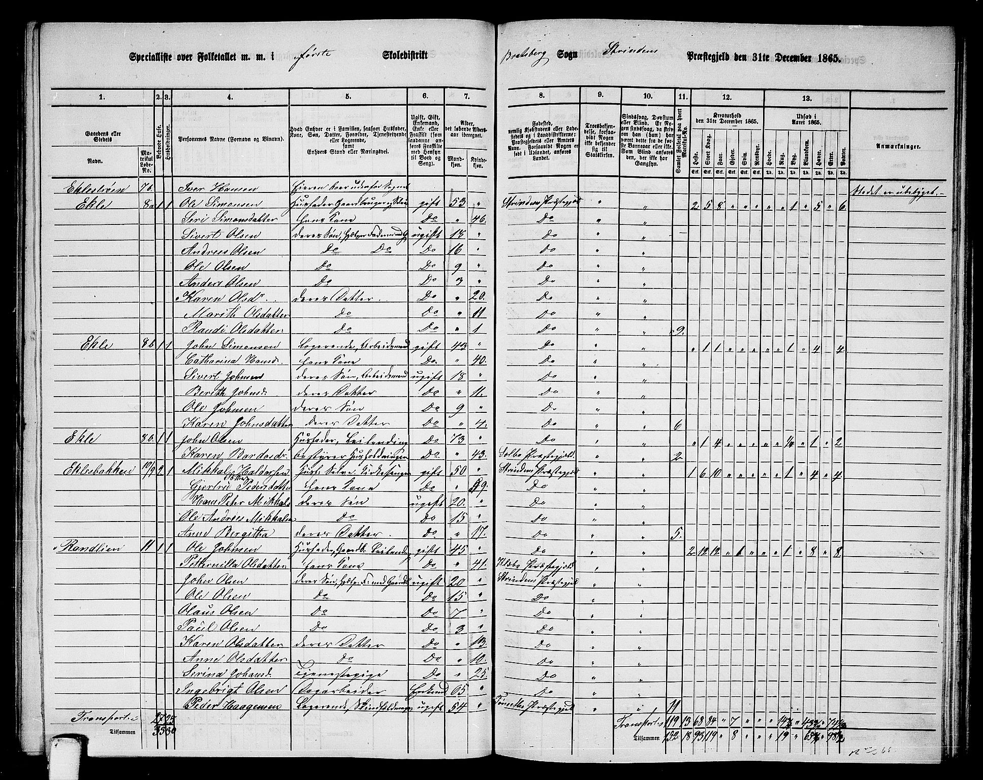 RA, 1865 census for Strinda, 1865, p. 165