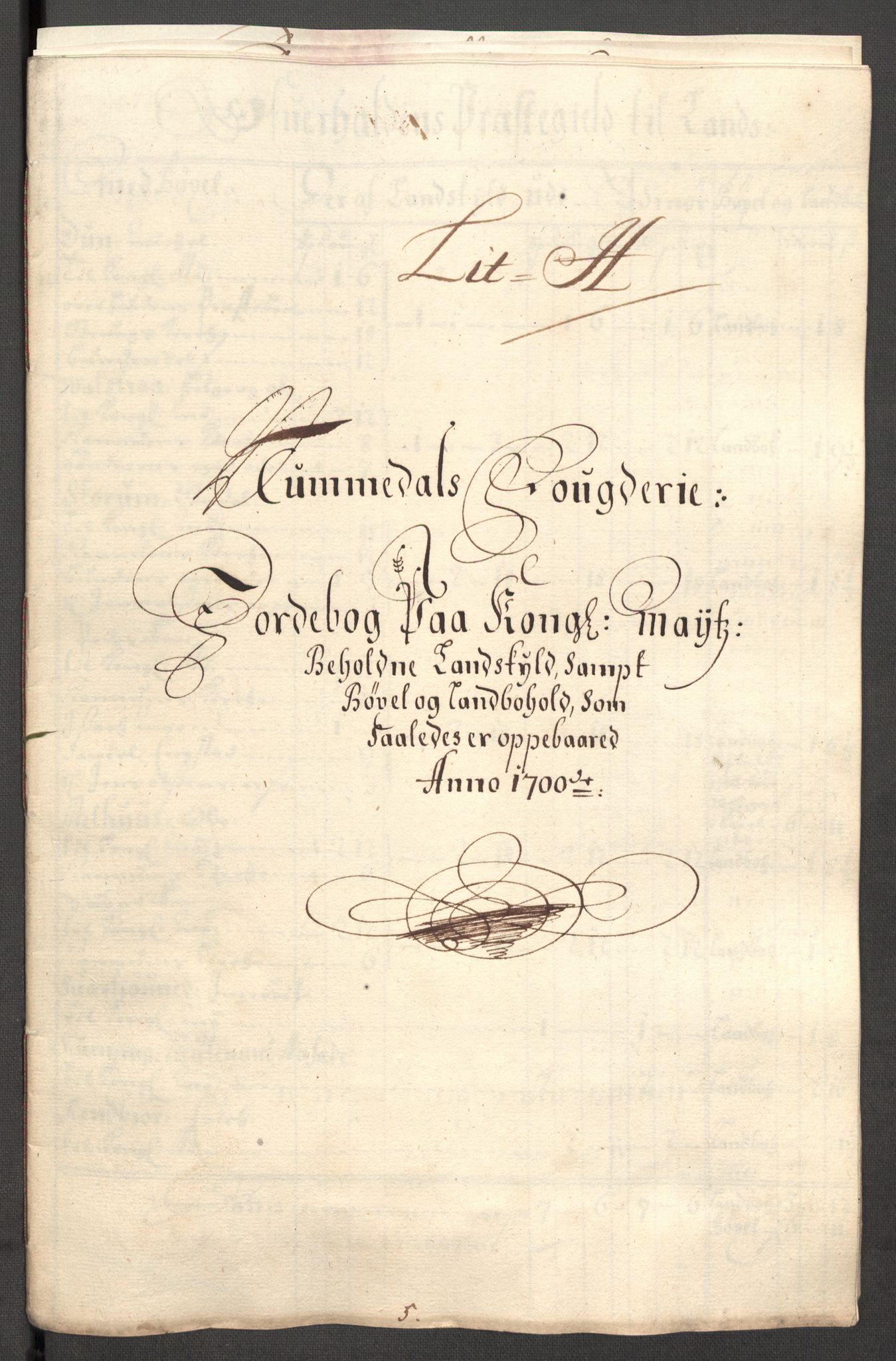 Rentekammeret inntil 1814, Reviderte regnskaper, Fogderegnskap, RA/EA-4092/R64/L4426: Fogderegnskap Namdal, 1699-1700, p. 255