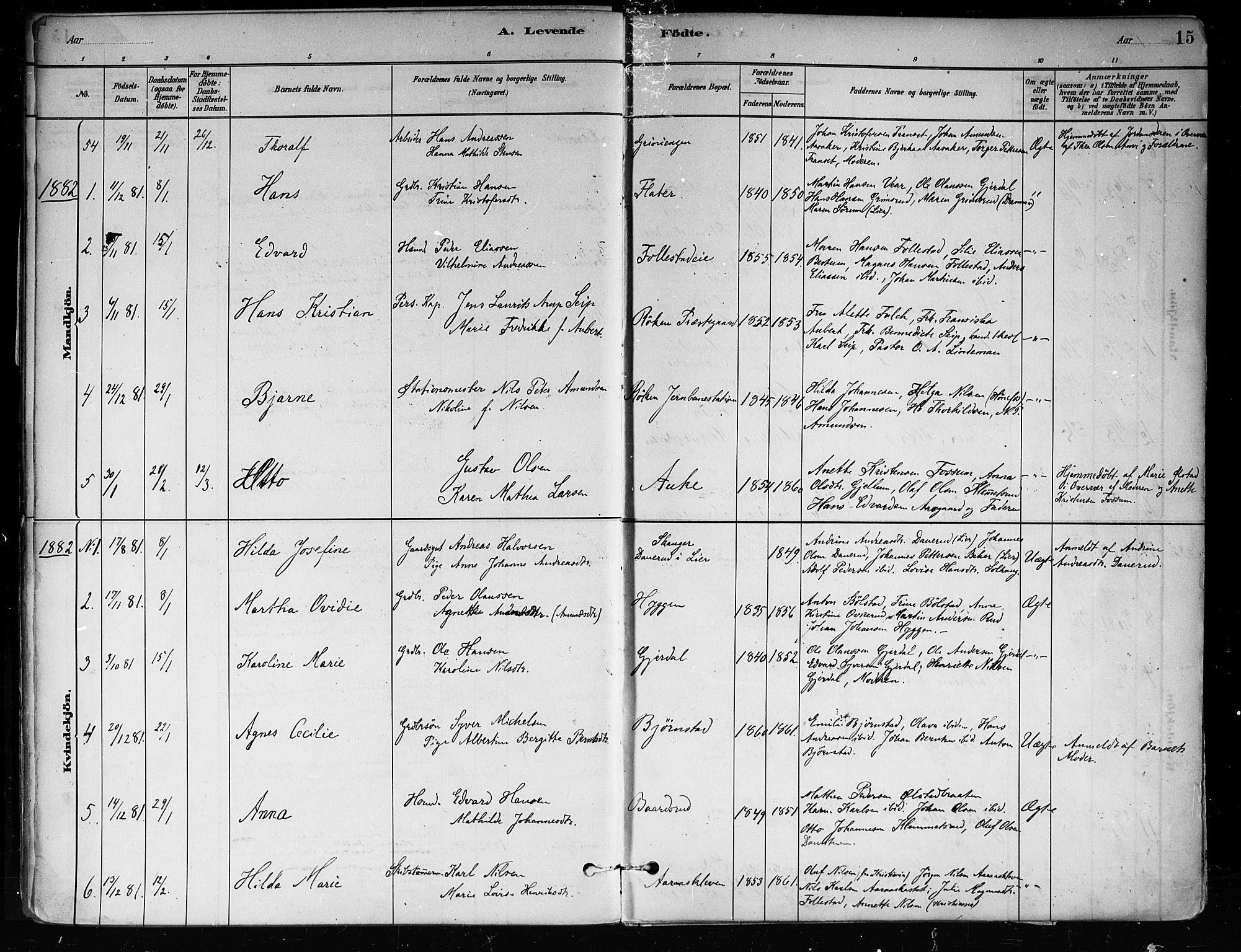 Røyken kirkebøker, SAKO/A-241/F/Fa/L0008: Parish register (official) no. 8, 1880-1897, p. 15