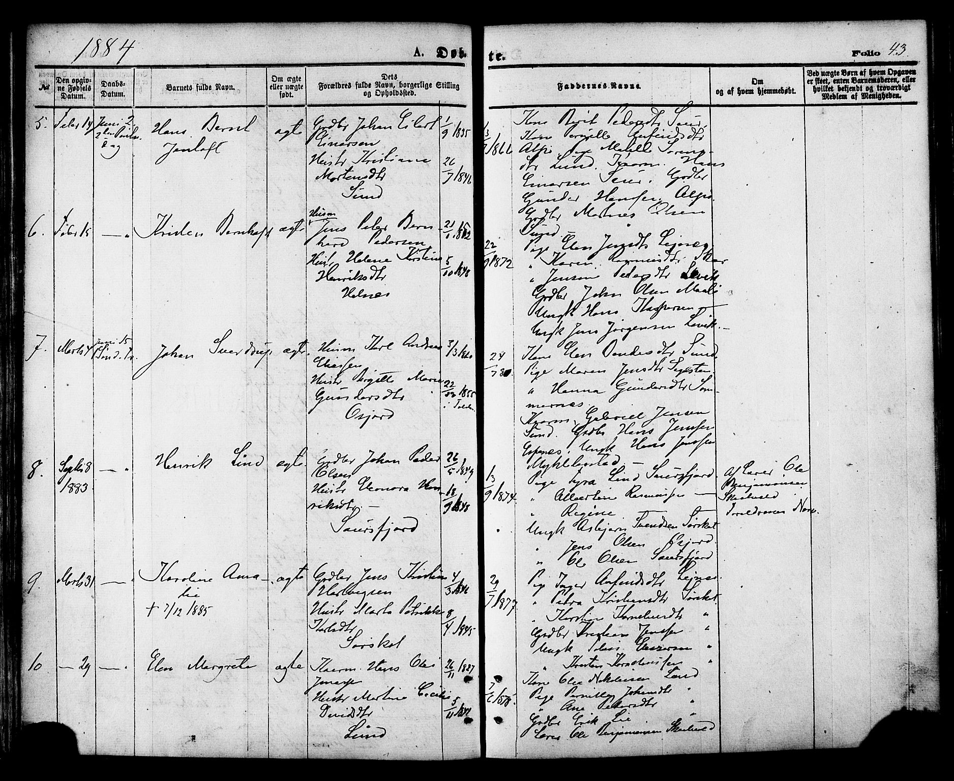 Ministerialprotokoller, klokkerbøker og fødselsregistre - Nordland, AV/SAT-A-1459/857/L0821: Parish register (official) no. 857A01, 1875-1889, p. 43