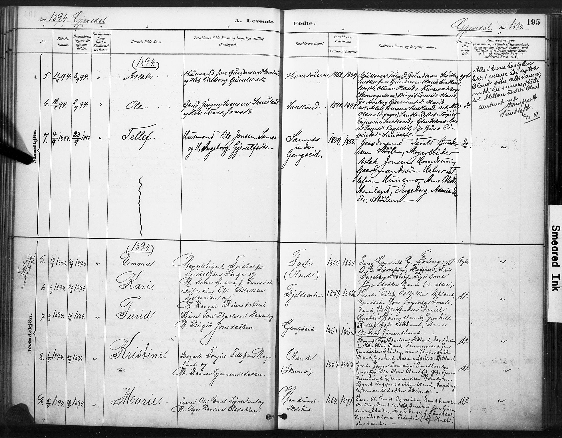 Åmli sokneprestkontor, SAK/1111-0050/F/Fa/Fac/L0010: Parish register (official) no. A 10 /2, 1885-1899, p. 195
