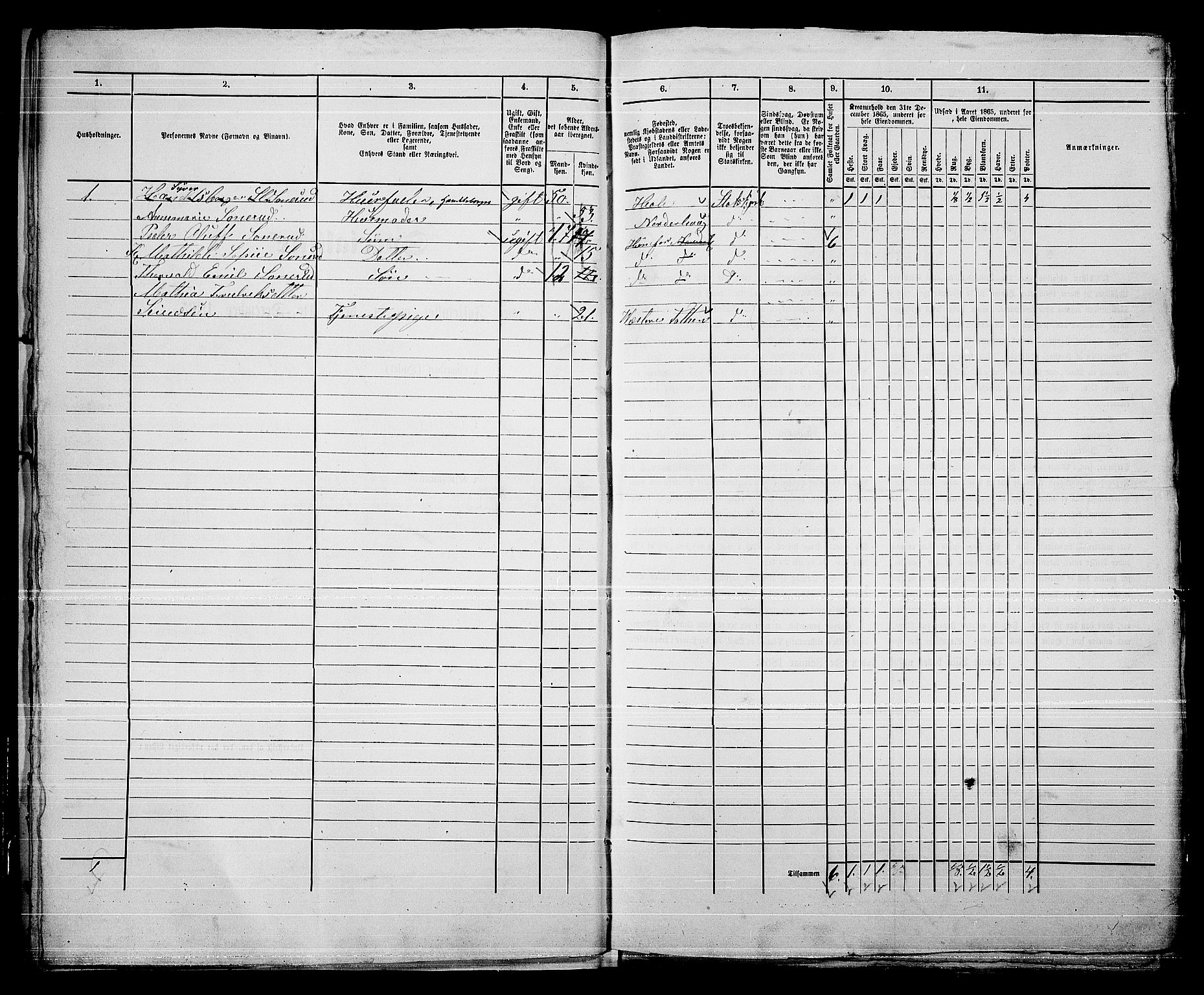 RA, 1865 census for Norderhov/Hønefoss, 1865, p. 18