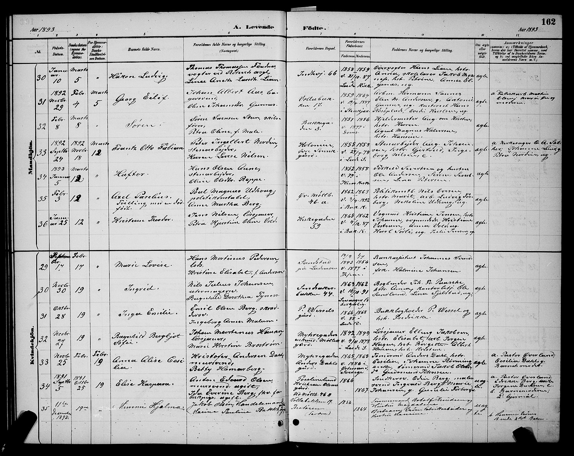 Ministerialprotokoller, klokkerbøker og fødselsregistre - Sør-Trøndelag, SAT/A-1456/604/L0222: Parish register (copy) no. 604C05, 1886-1895, p. 162